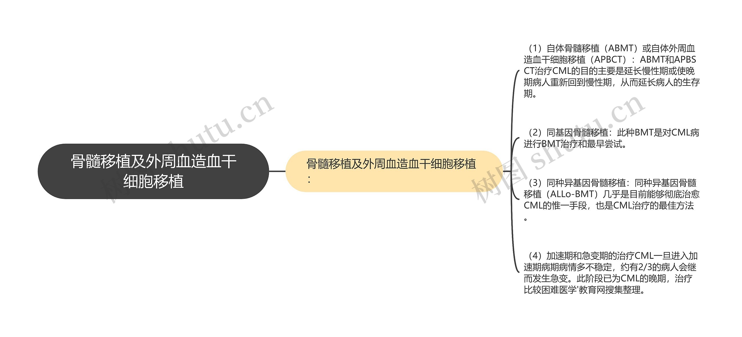 骨髓移植及外周血造血干细胞移植