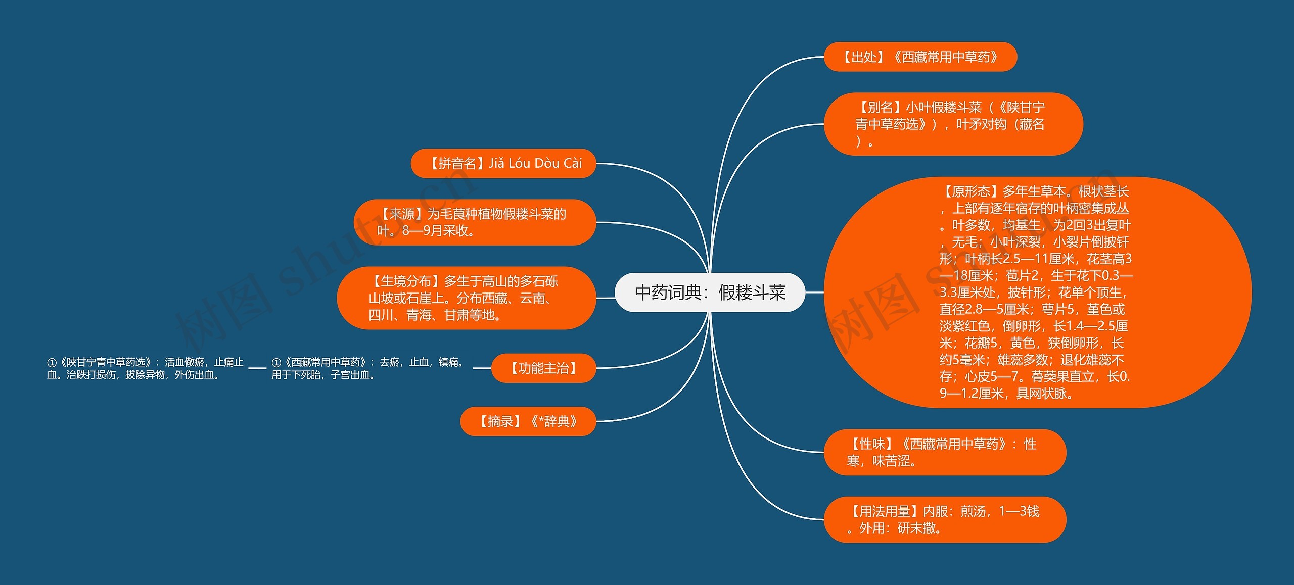 中药词典：假耧斗菜思维导图