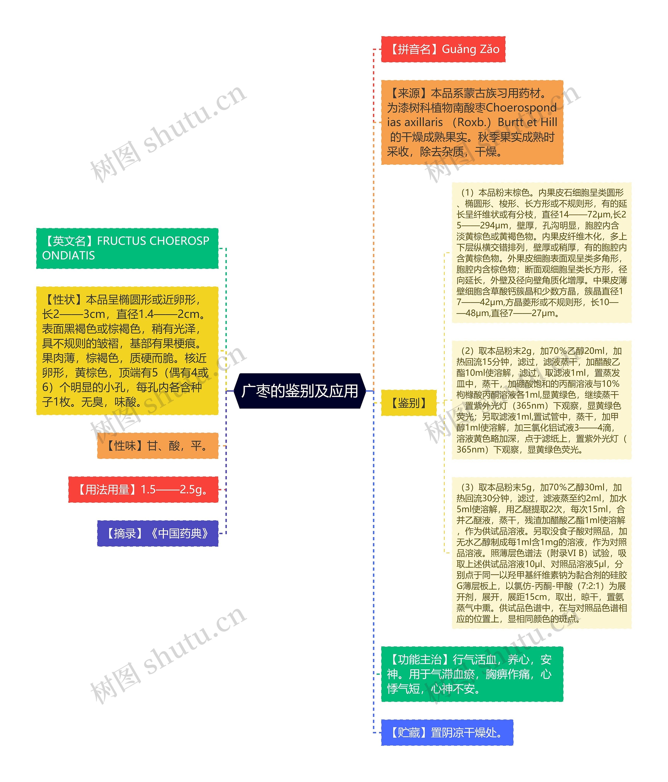 广枣的鉴别及应用