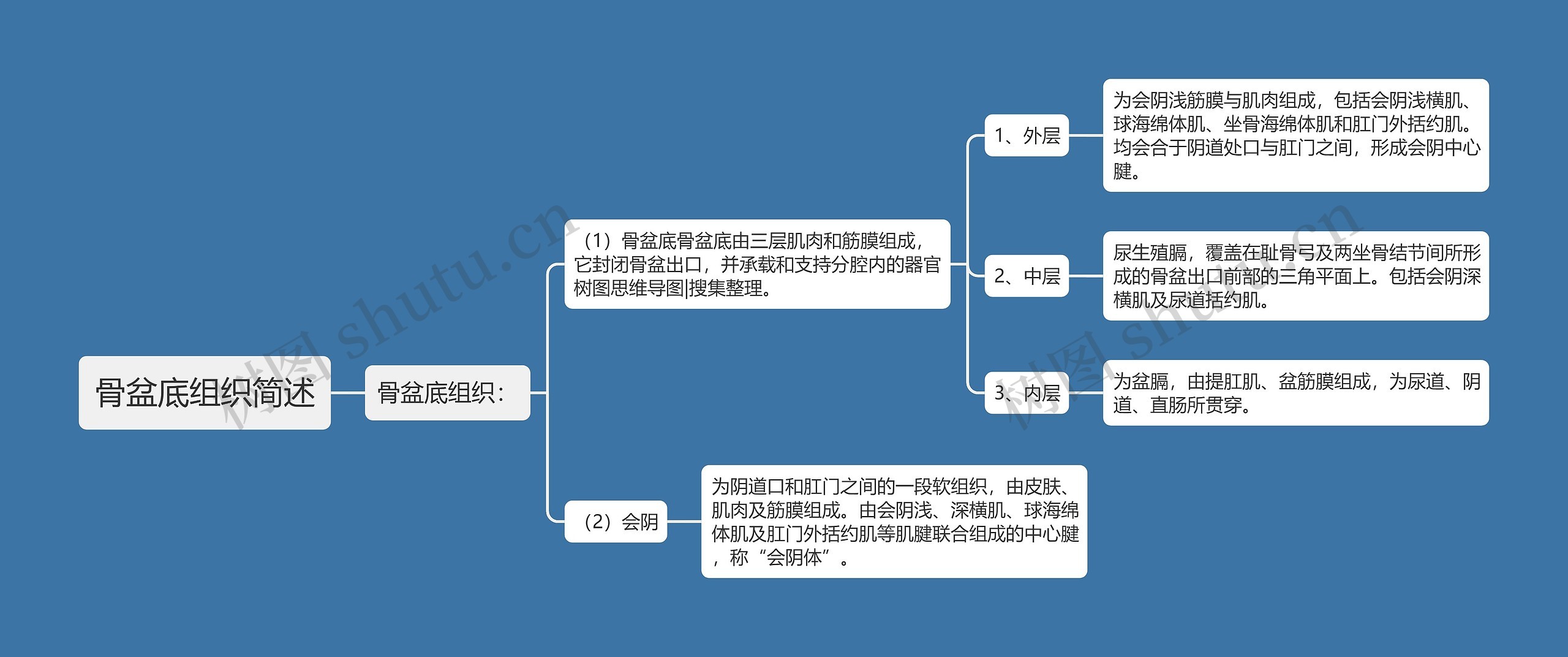 骨盆底组织简述思维导图