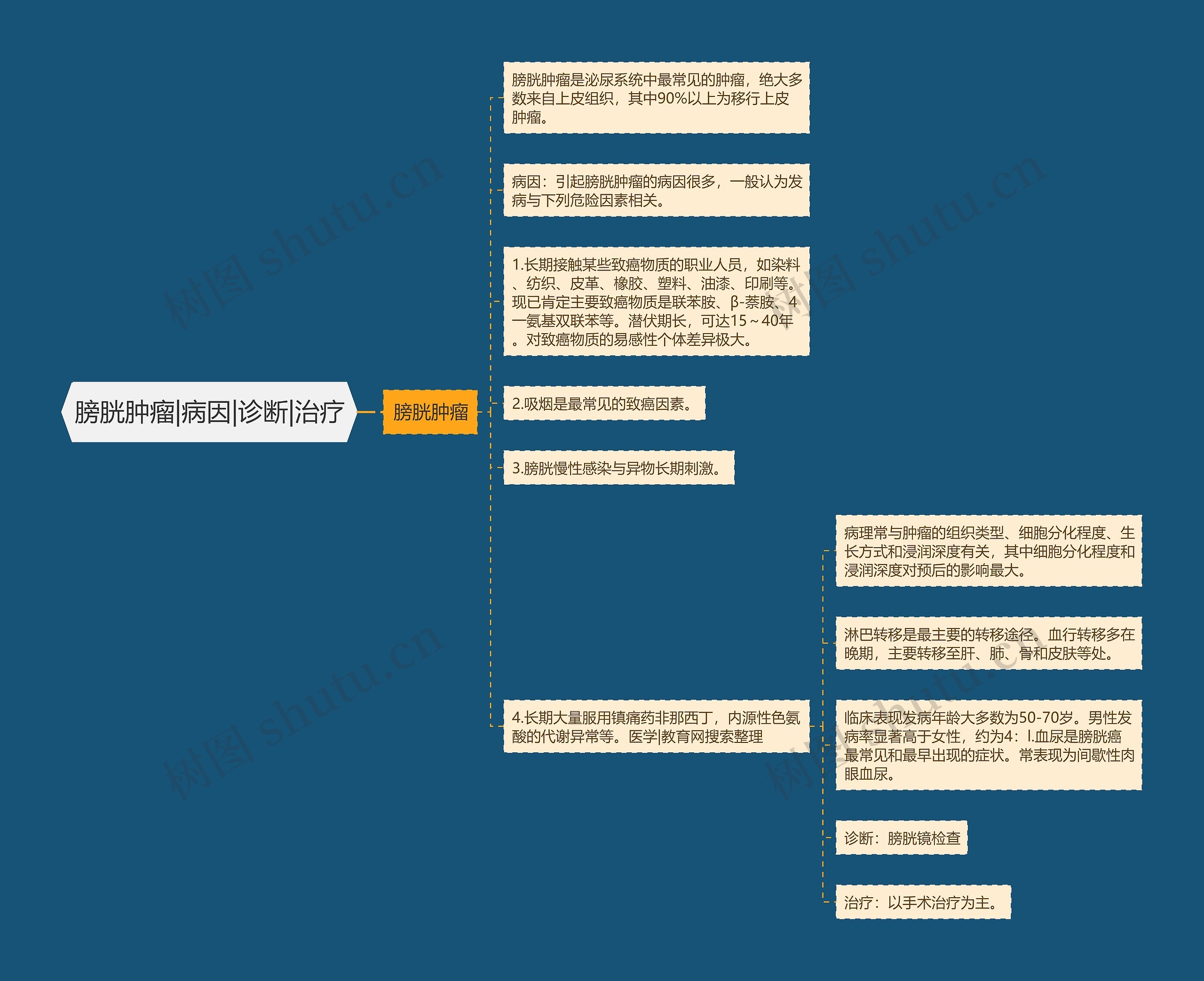 膀胱肿瘤|病因|诊断|治疗