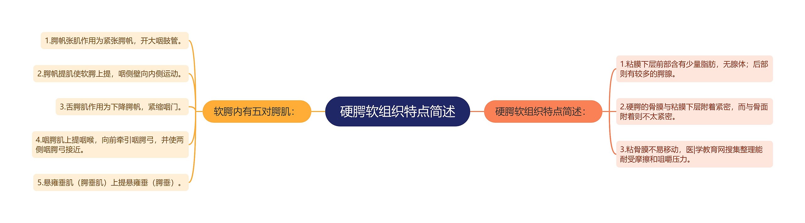 硬腭软组织特点简述 硬腭软组织特点简述