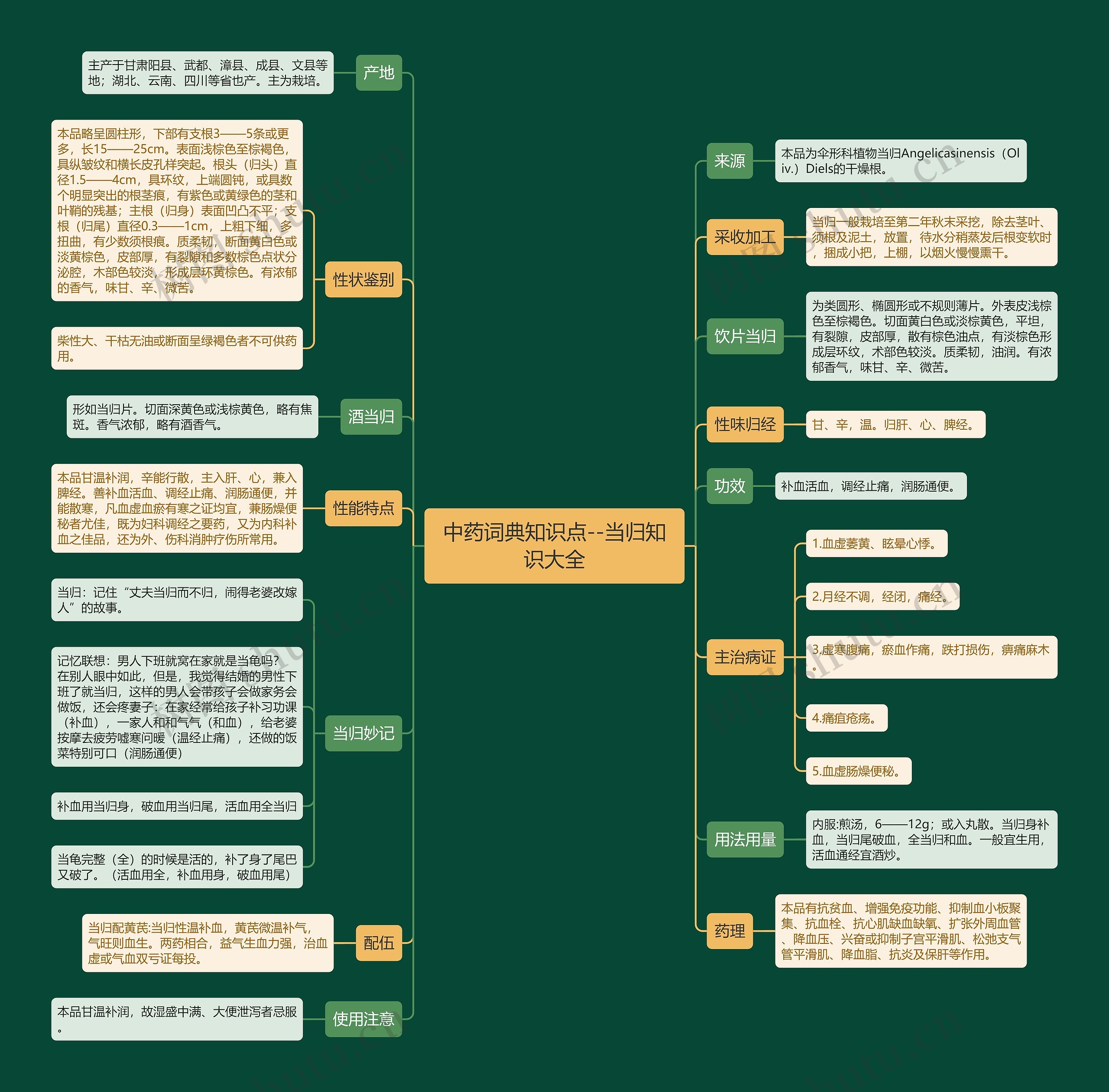 中药词典知识点--当归知识大全思维导图