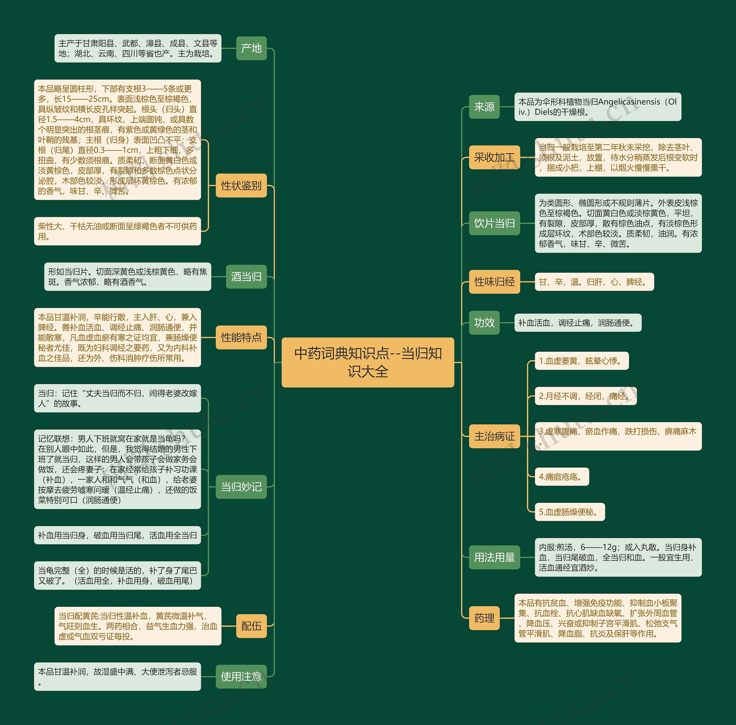 中药词典知识点--当归知识大全 中药词典知识点--当归知识大全