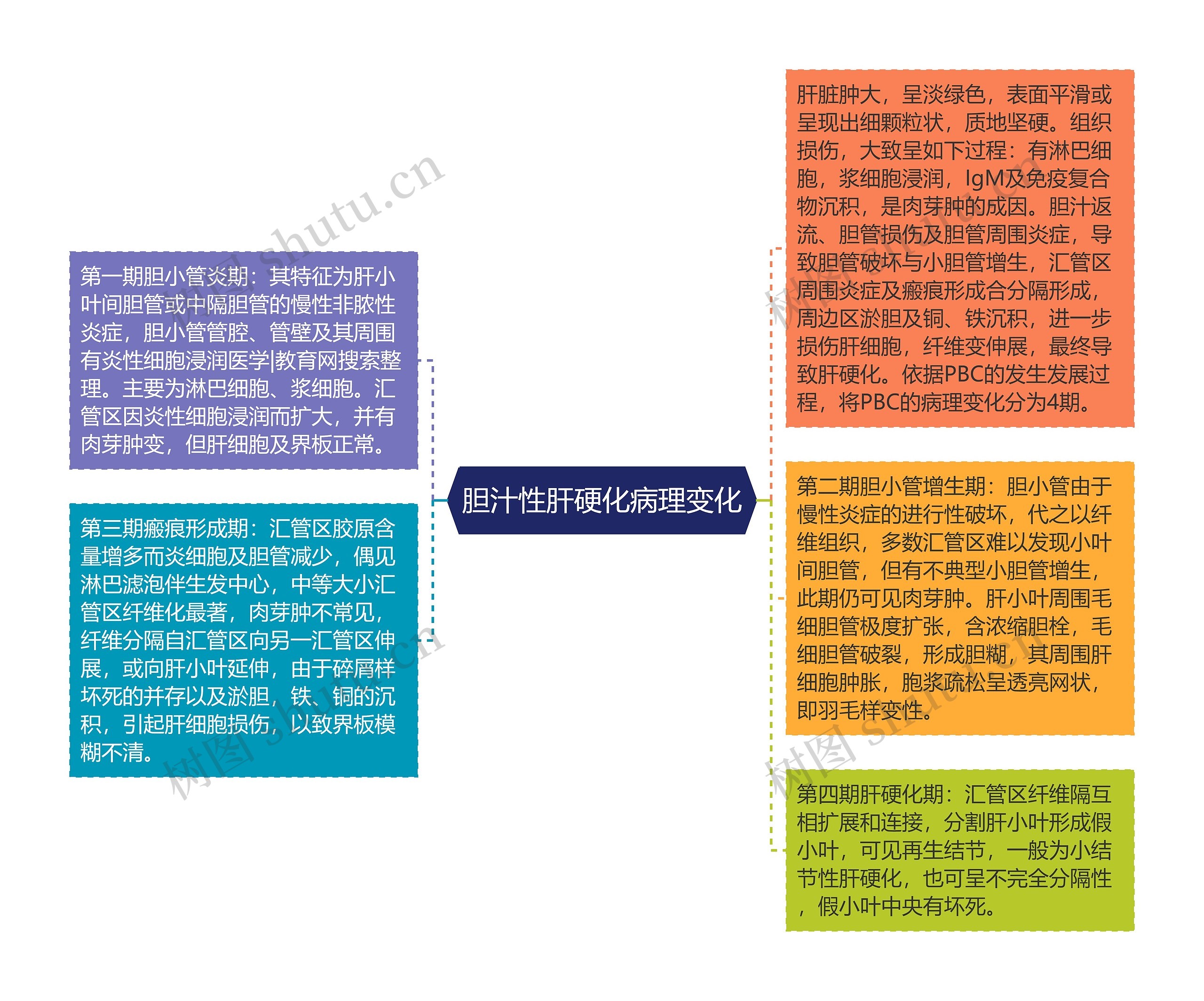 胆汁性肝硬化病理变化思维导图