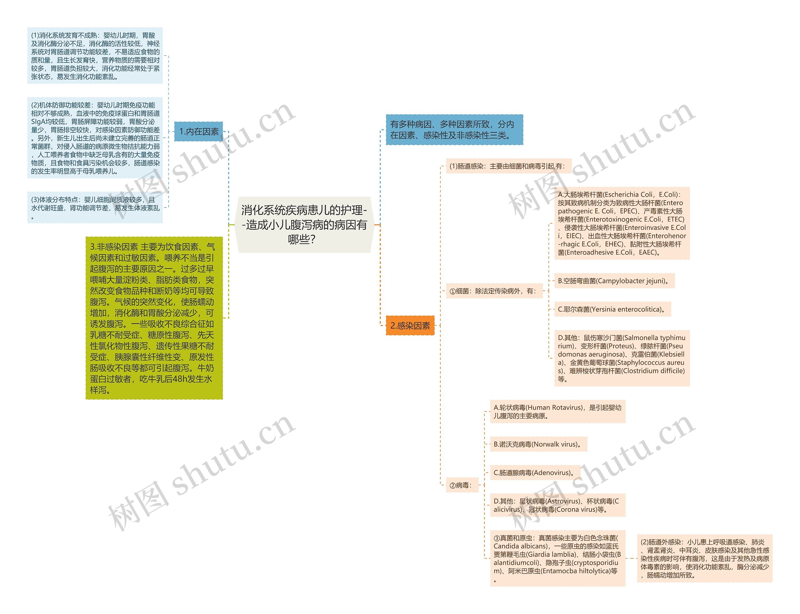 消化系统疾病患儿的护理--造成小儿腹泻病的病因有哪些？