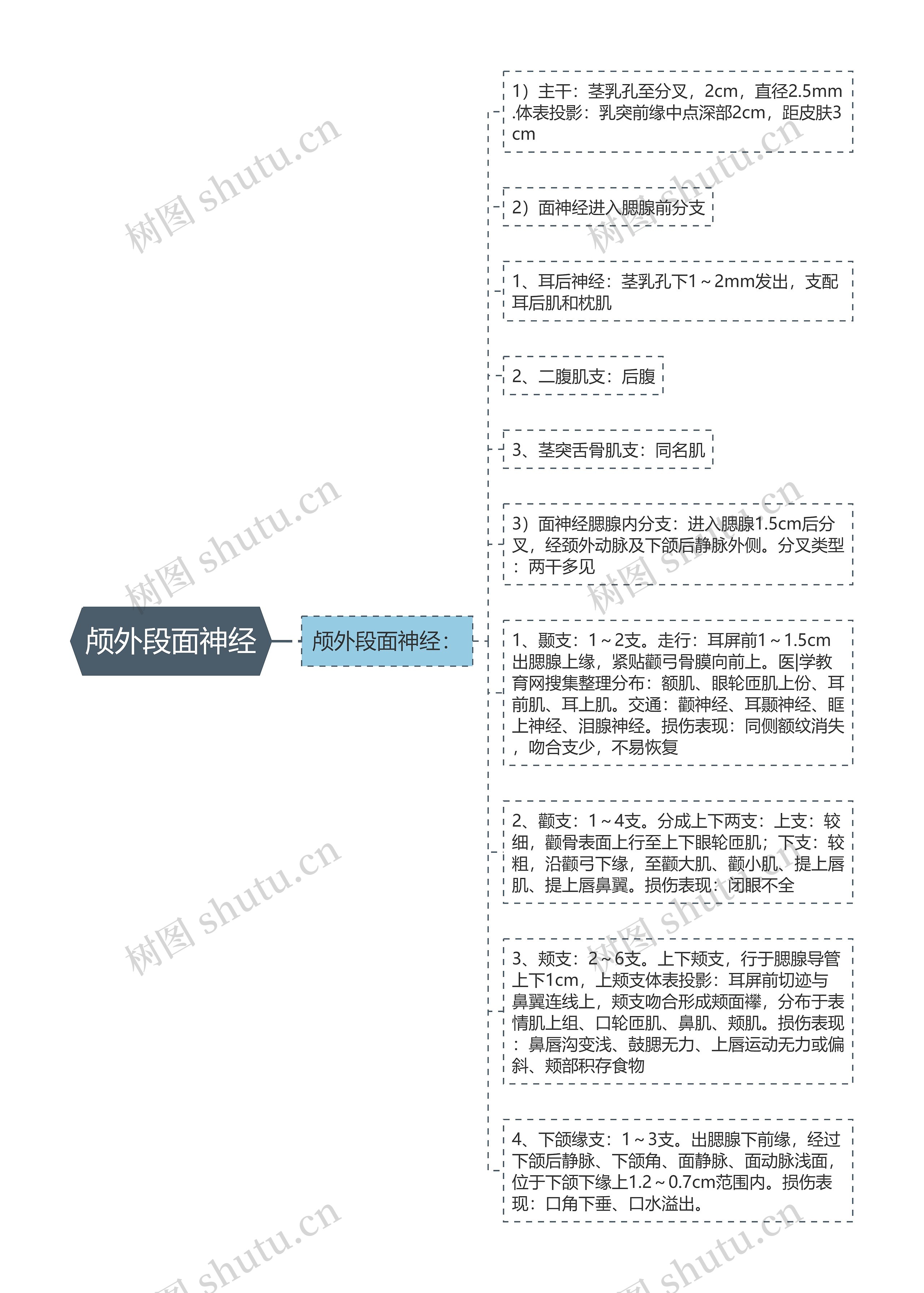 颅外段面神经思维导图