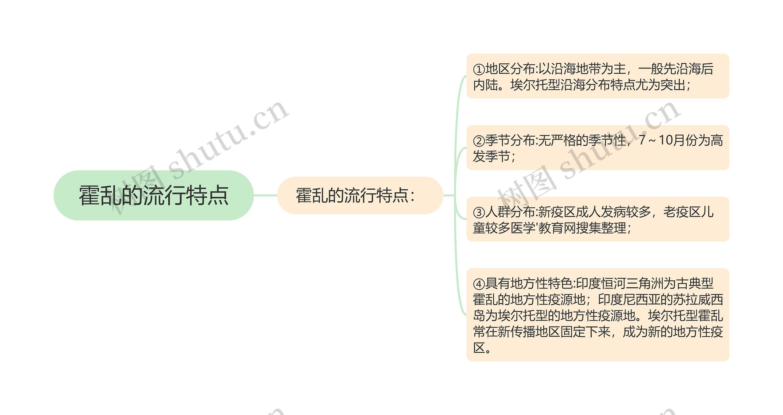 霍乱的流行特点思维导图