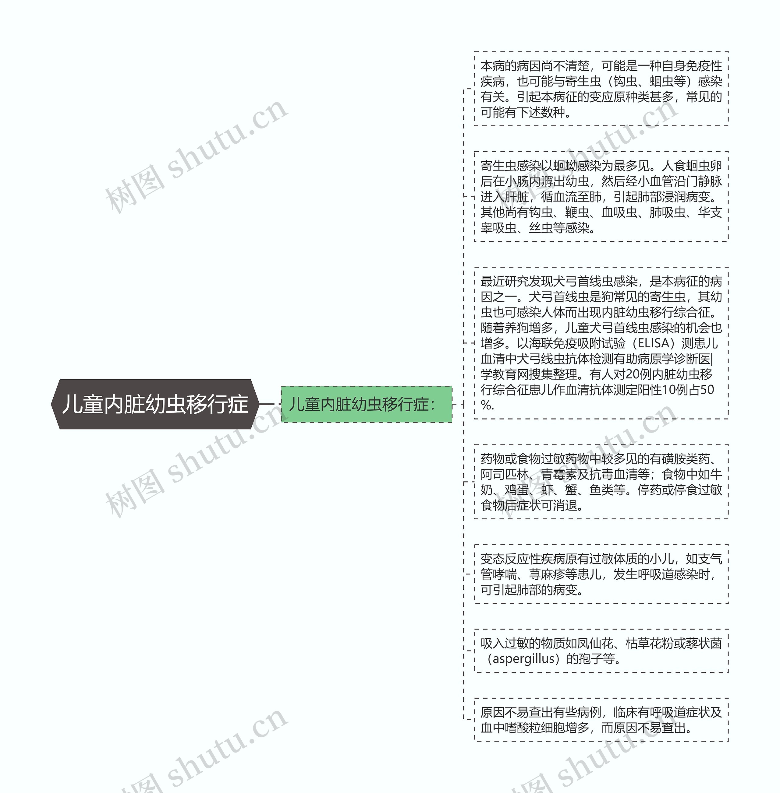 儿童内脏幼虫移行症思维导图