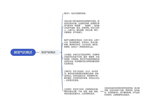 脚湿气的概述