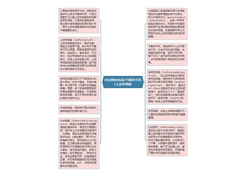 肉芽肿的组成/干酪样坏死/上皮样细胞