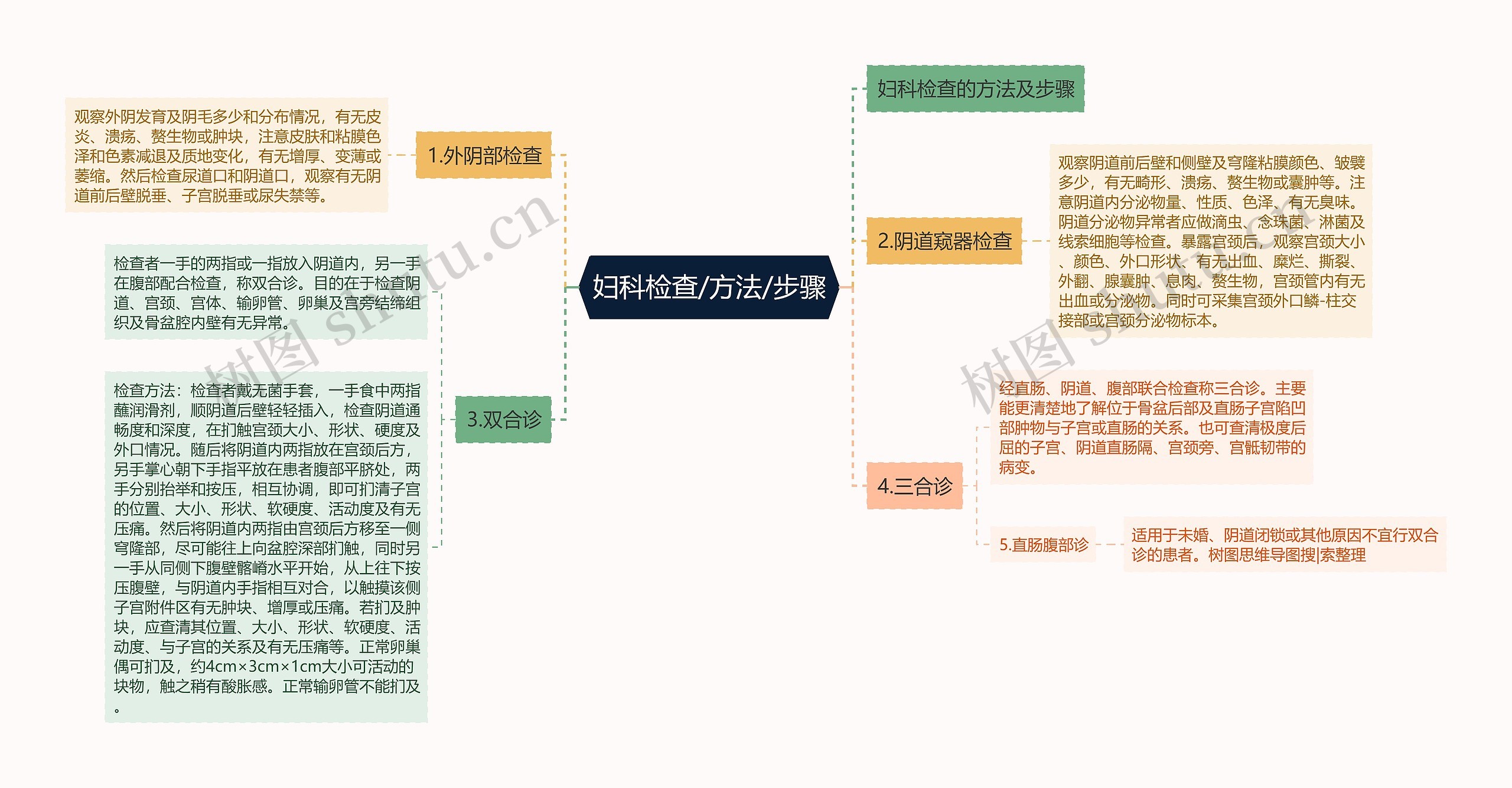 妇科检查/方法/步骤思维导图