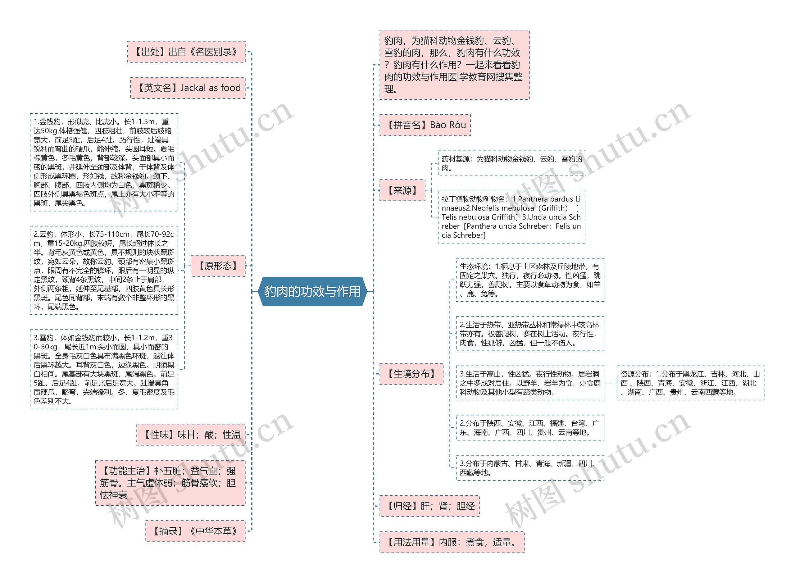 豹肉的功效与作用思维导图