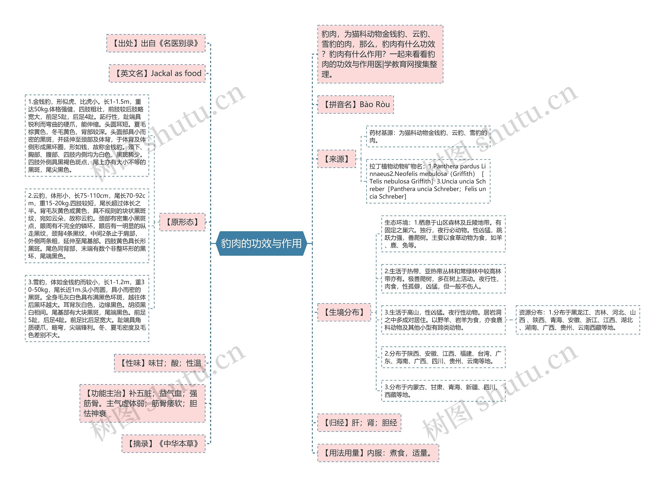 豹肉的功效与作用 豹肉的功效与作用