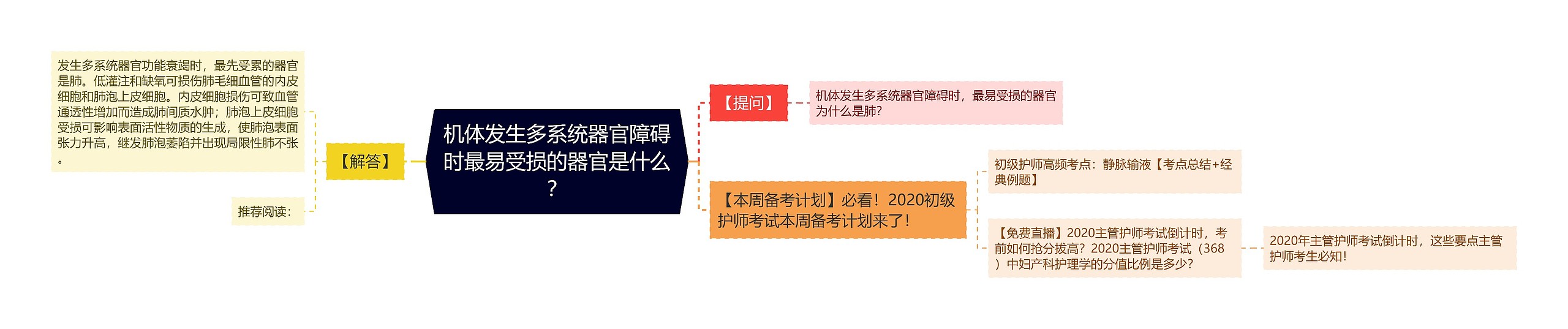 机体发生多系统器官障碍时最易受损的器官是什么？