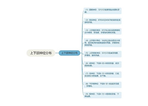 上下颌神经分布