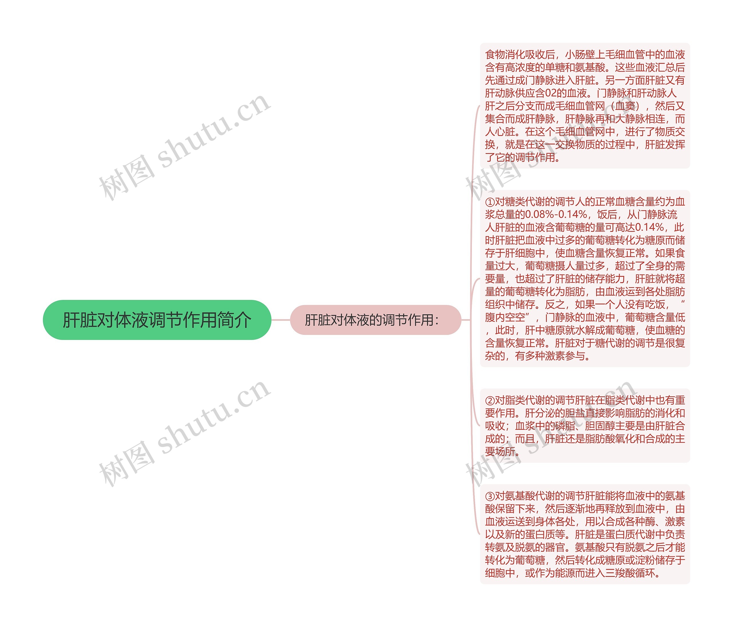 肝脏对体液调节作用简介