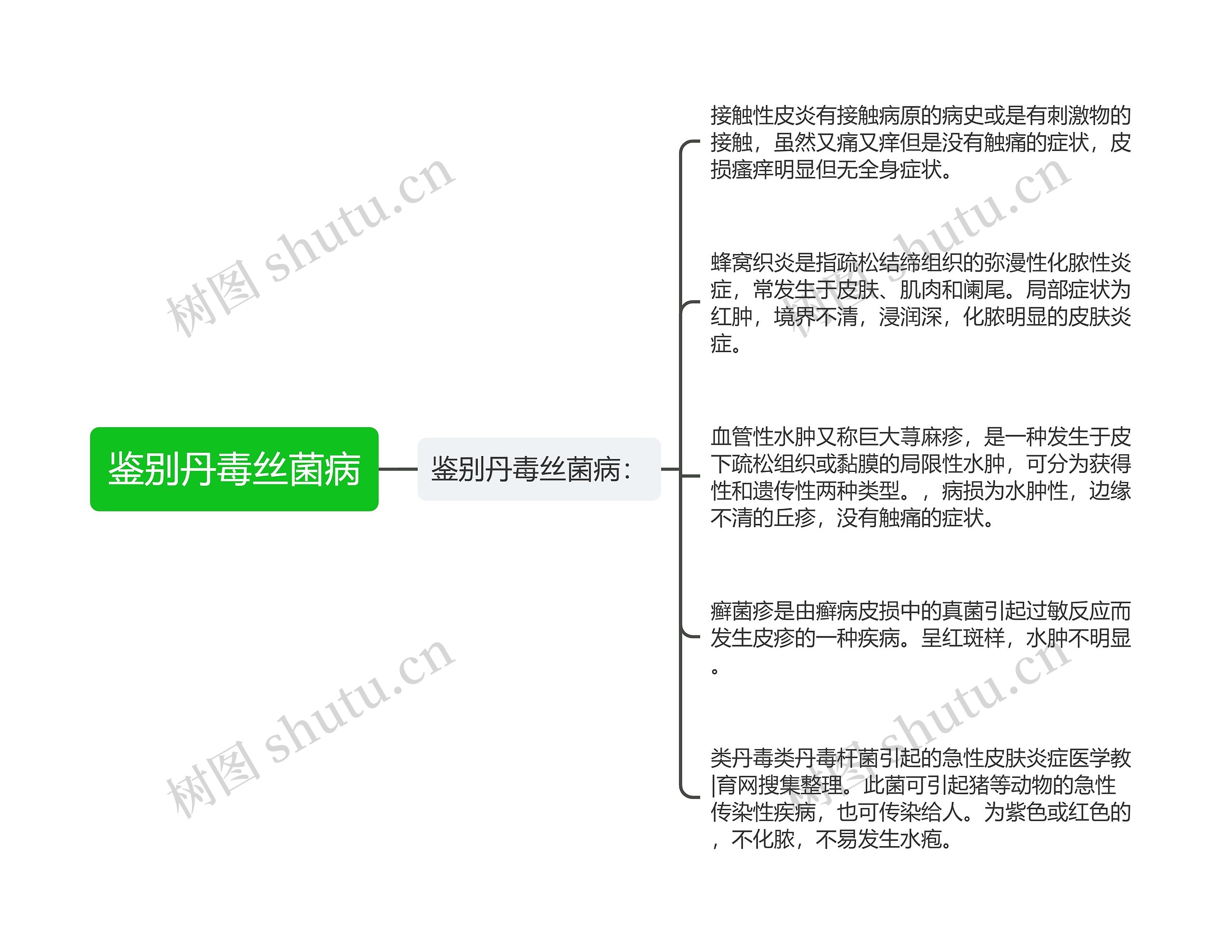 鉴别丹毒丝菌病思维导图