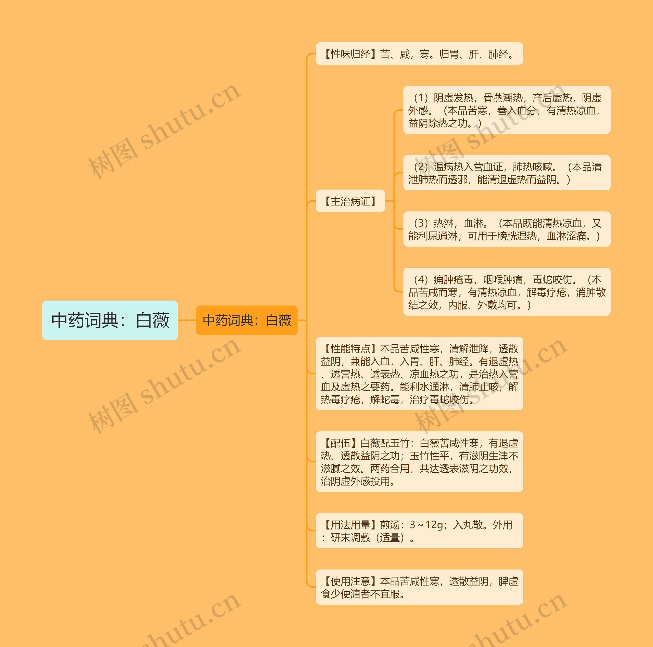 中药词典：白薇思维导图