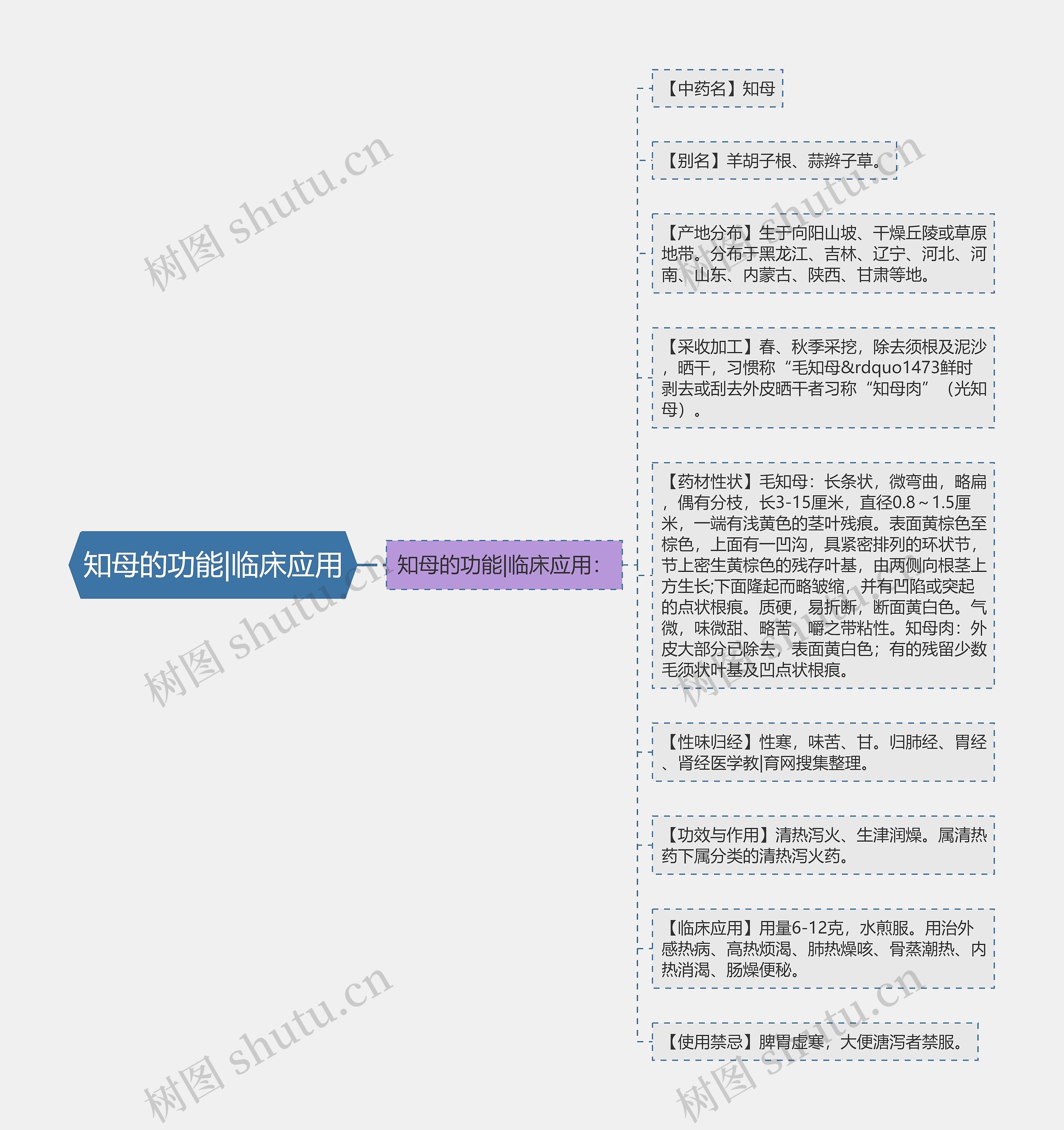 知母的功能|临床应用思维导图