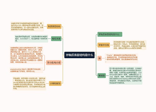 牙釉质表面结构是什么