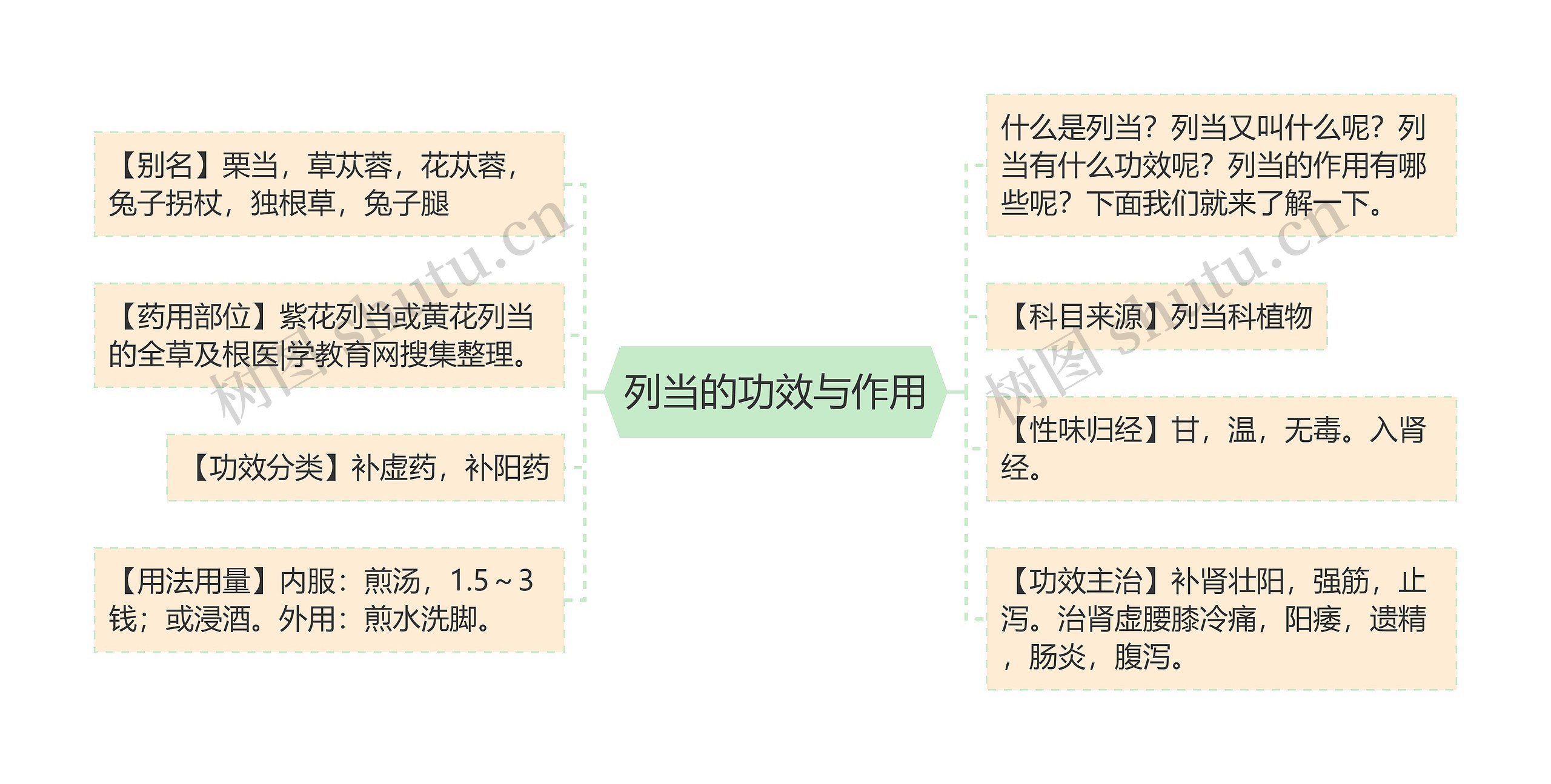 列当的功效与作用思维导图