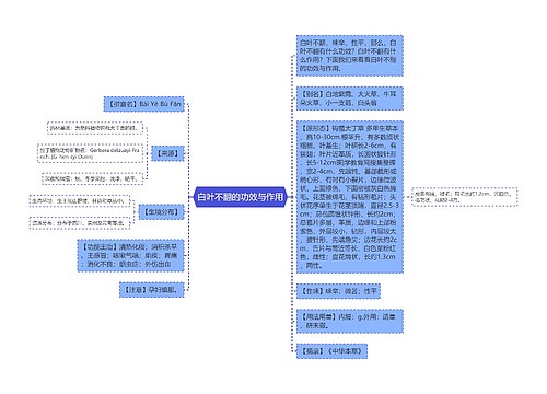 白叶不翻的功效与作用