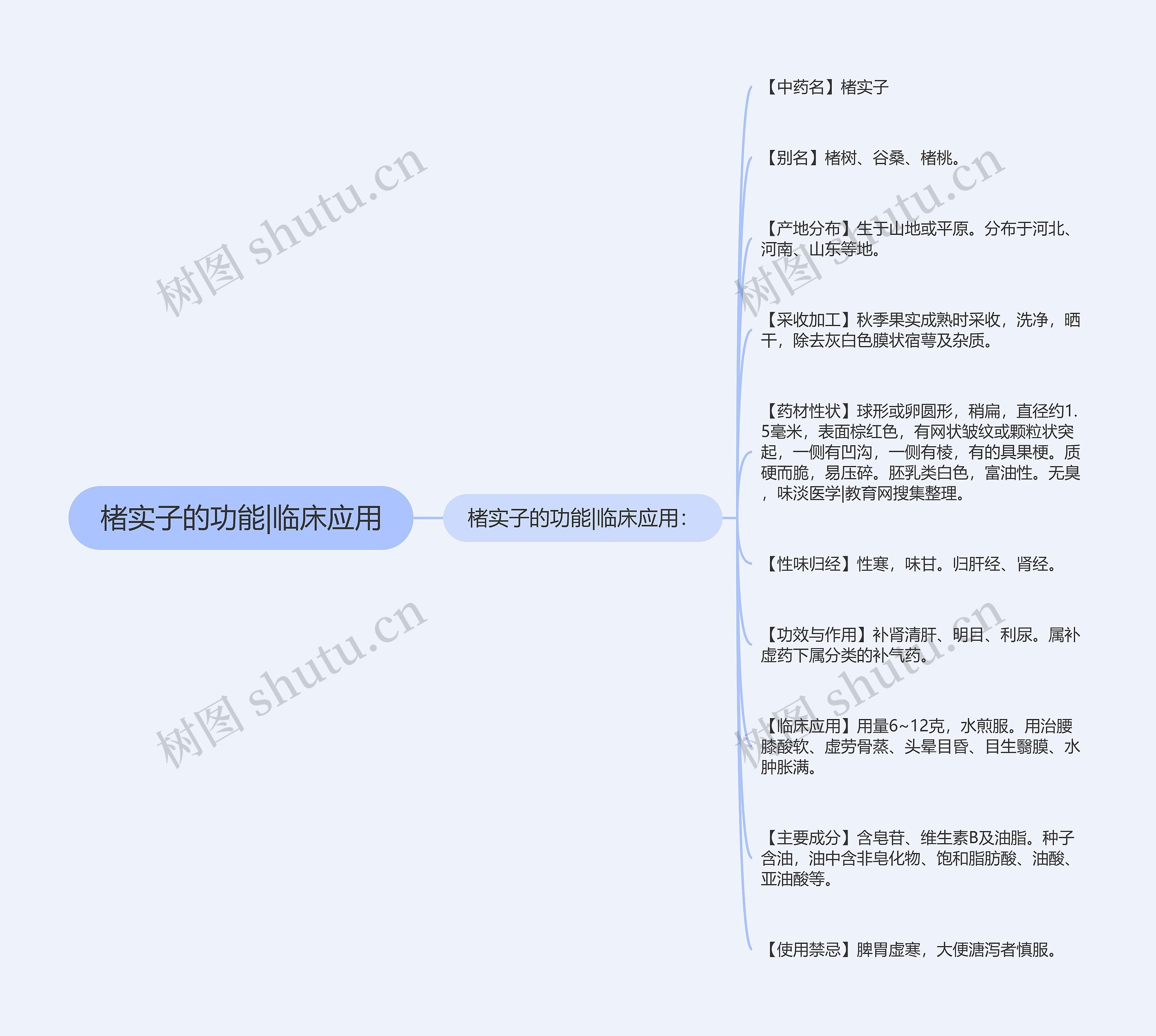 楮实子的功能|临床应用思维导图