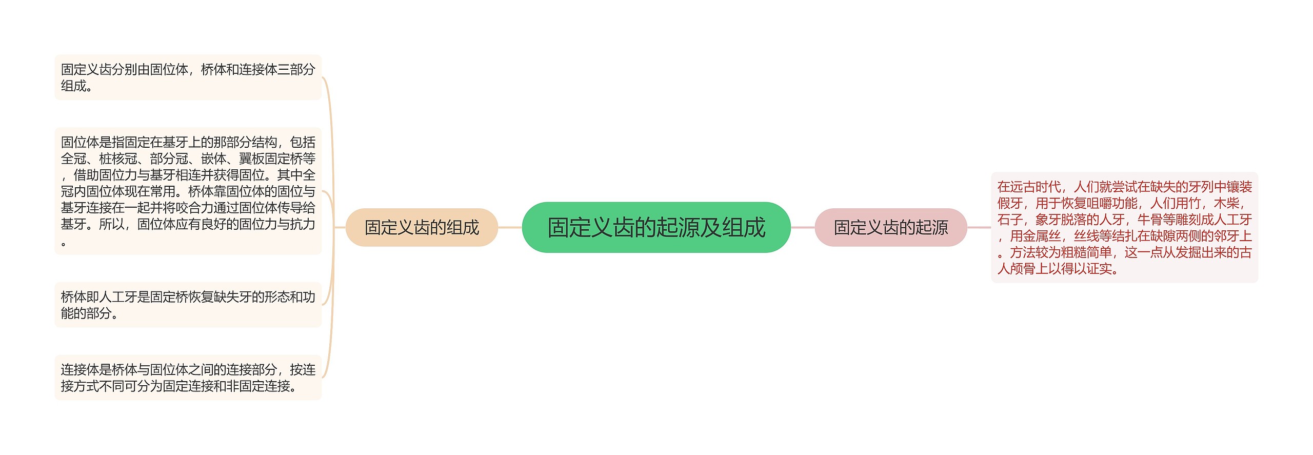 固定义齿的起源及组成 固定义齿的起源及组成