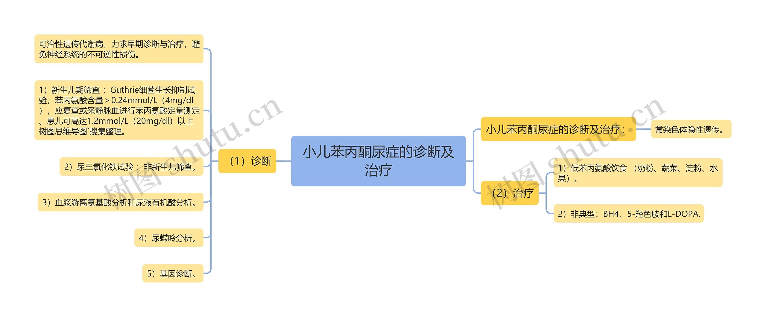 小儿苯丙酮尿症的诊断及治疗思维导图