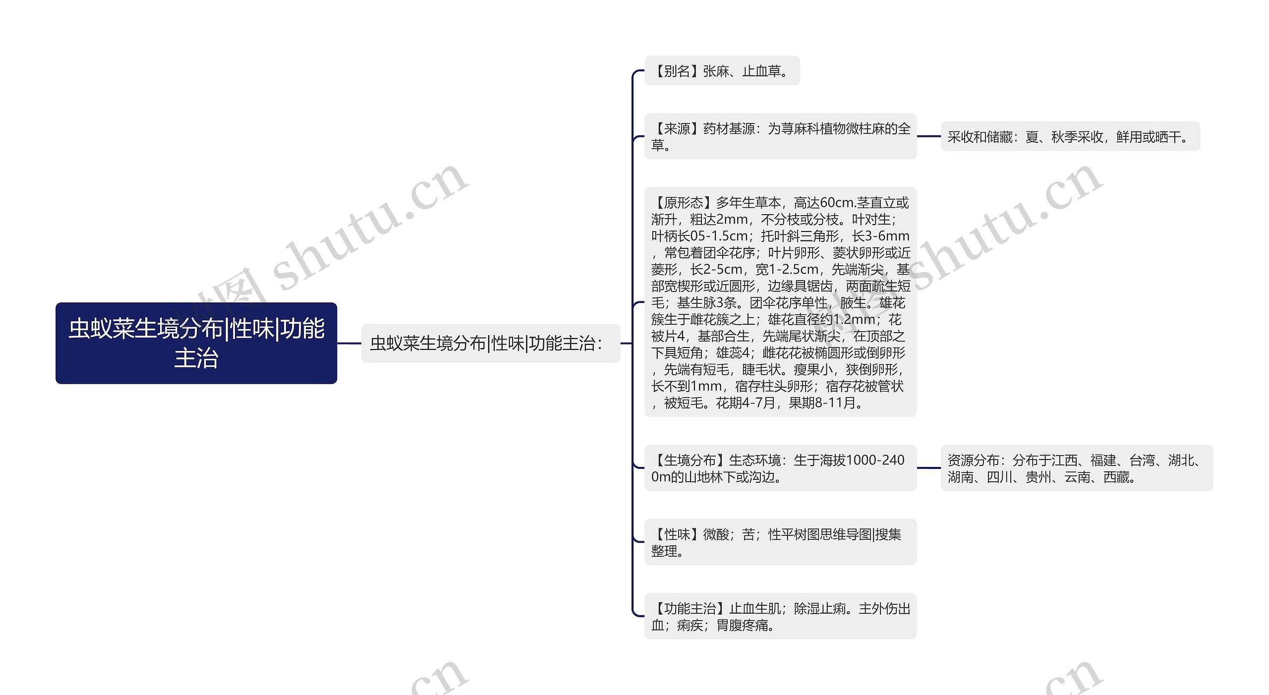 虫蚁菜生境分布|性味|功能主治思维导图