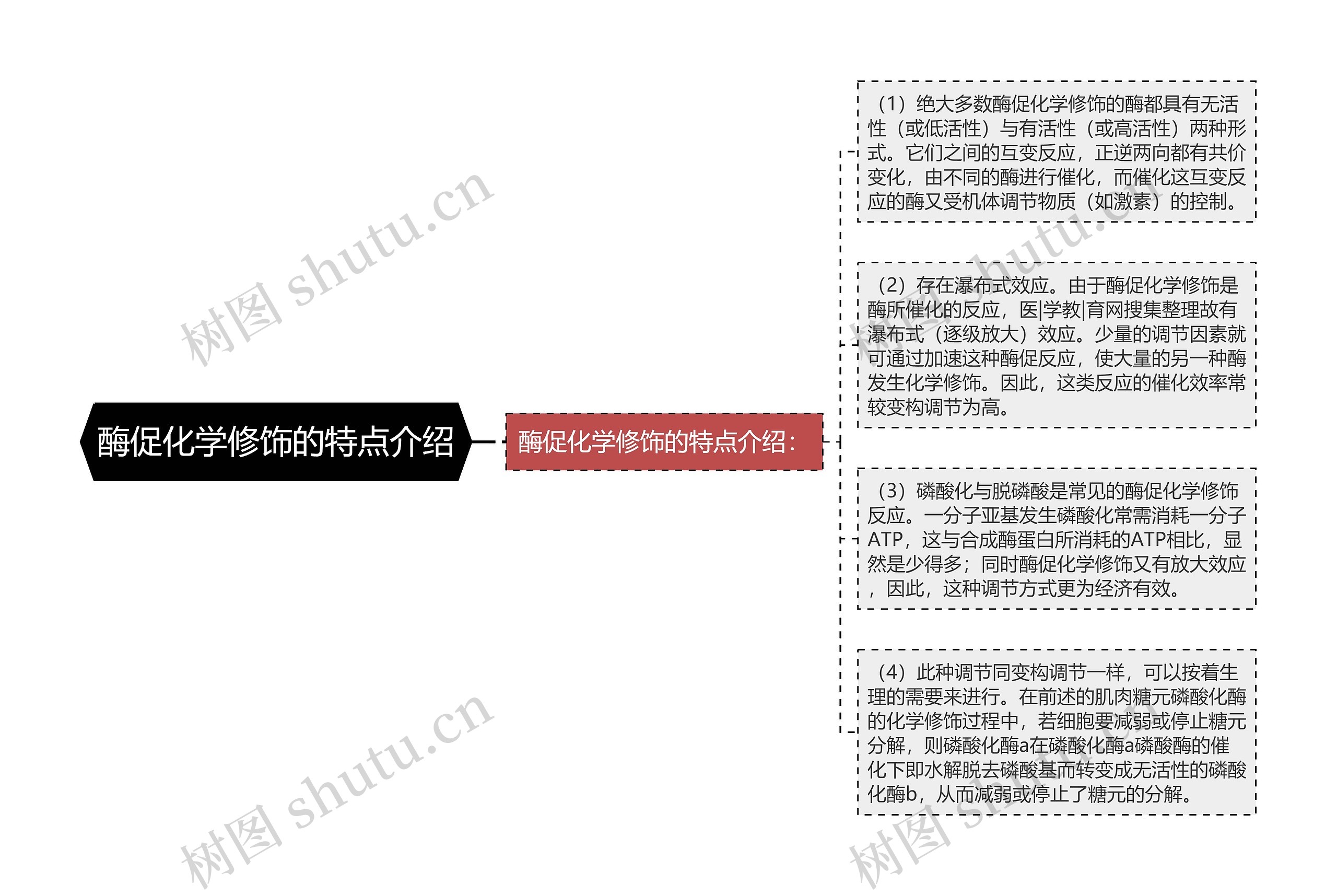 酶促化学修饰的特点介绍 酶促化学修饰的特点介绍