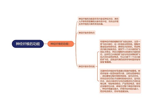 神经纤维的功能