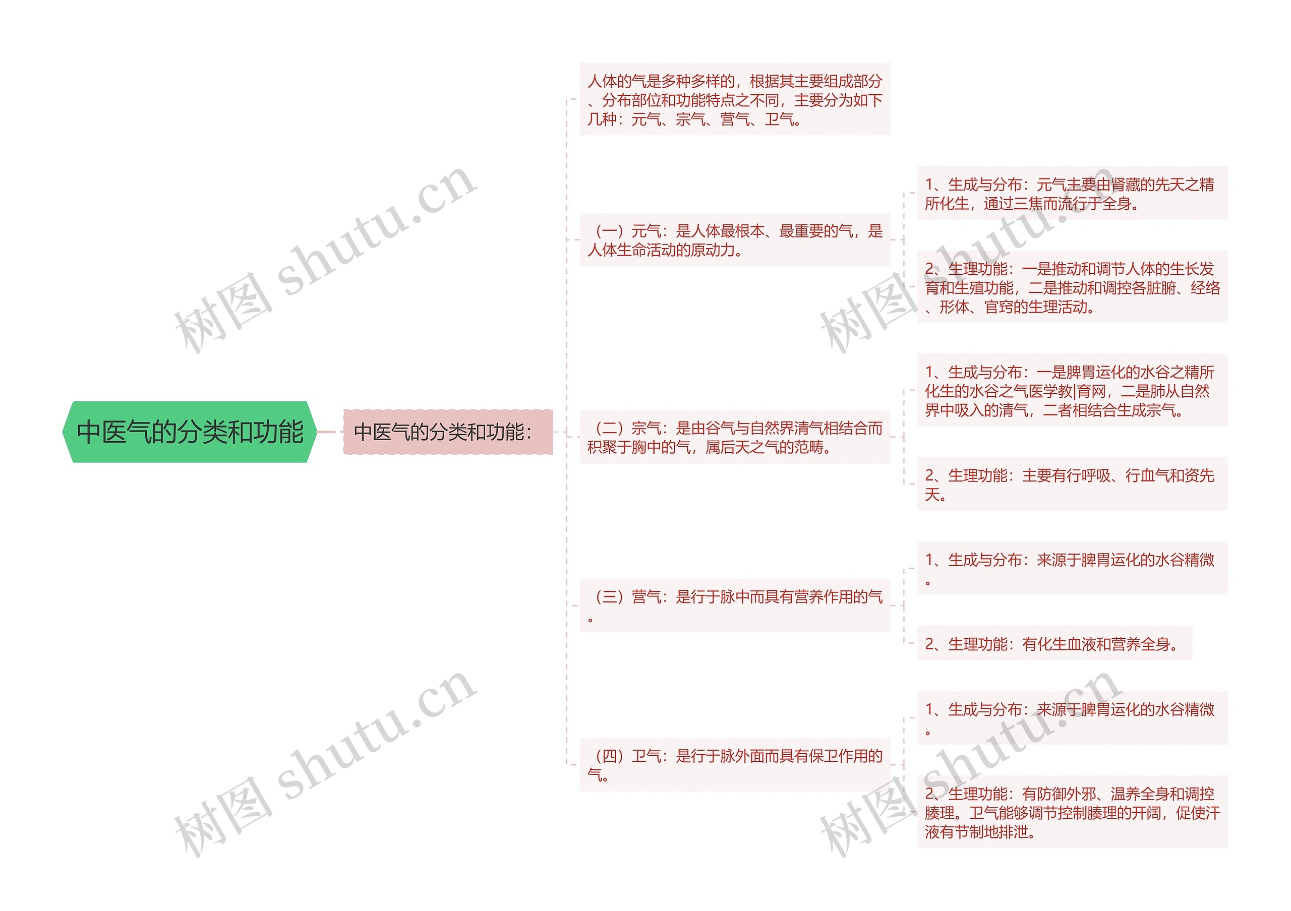 中医气的分类和功能思维导图