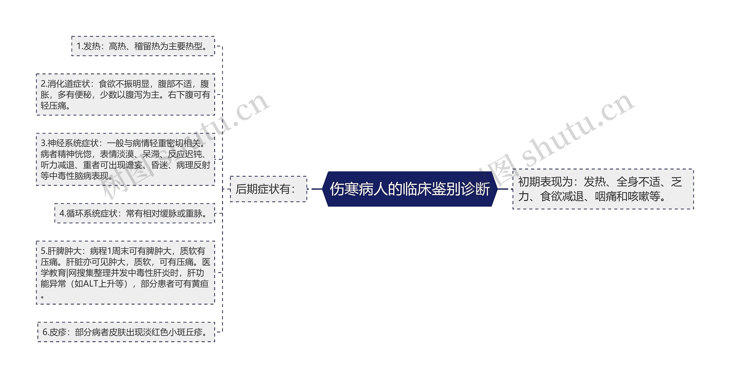 伤寒病人的临床鉴别诊断思维导图