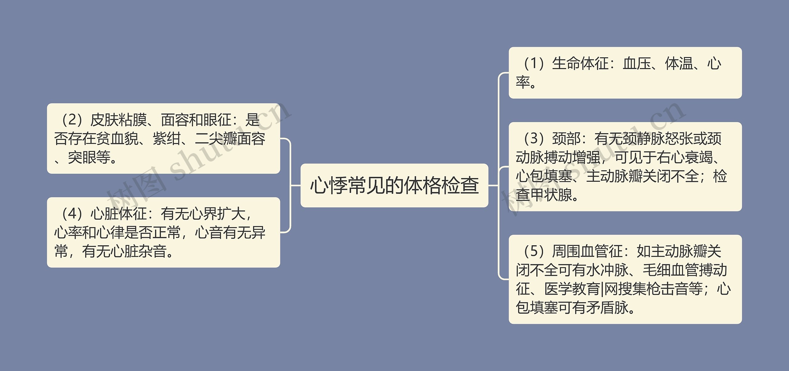 心悸常见的体格检查思维导图