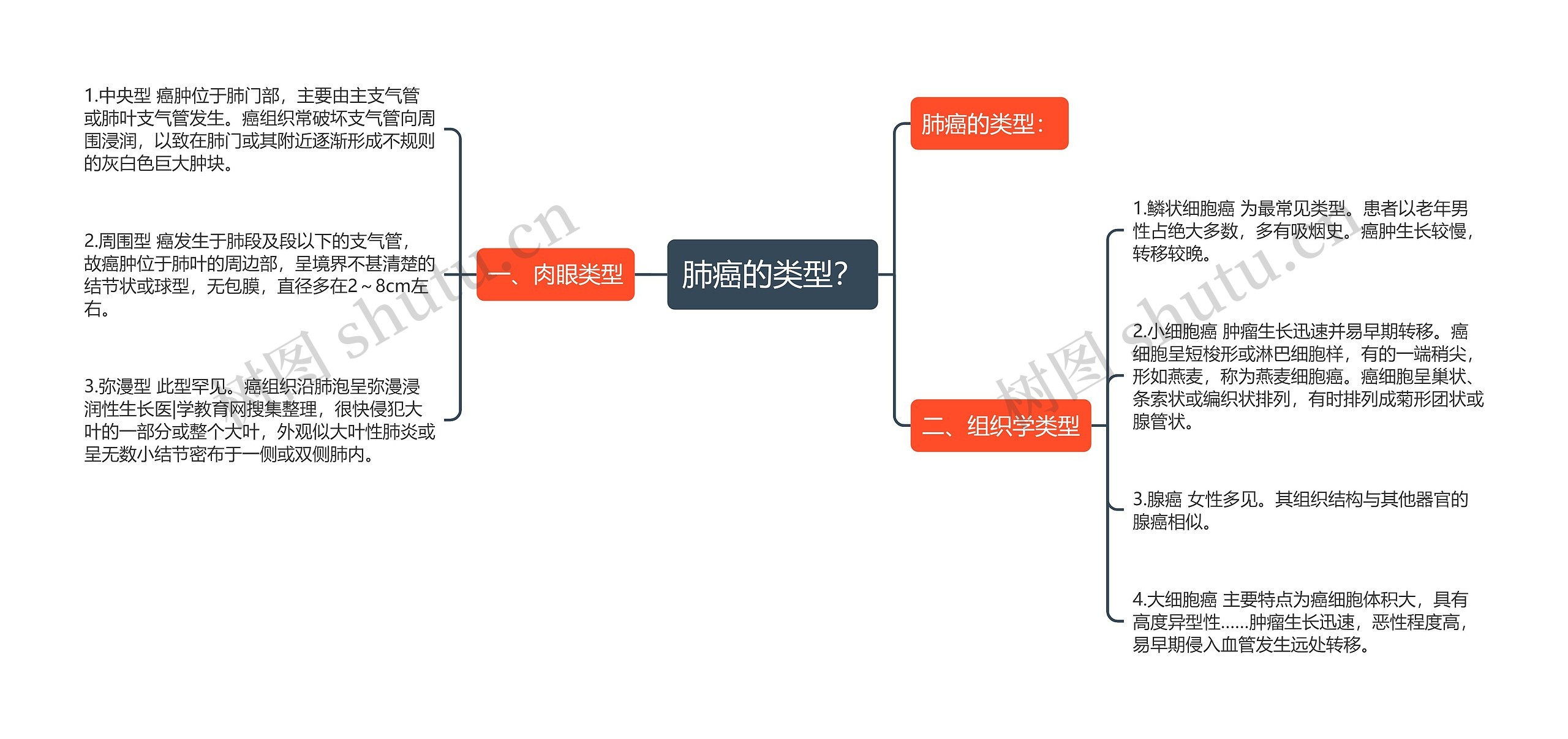 肺癌的类型？思维导图