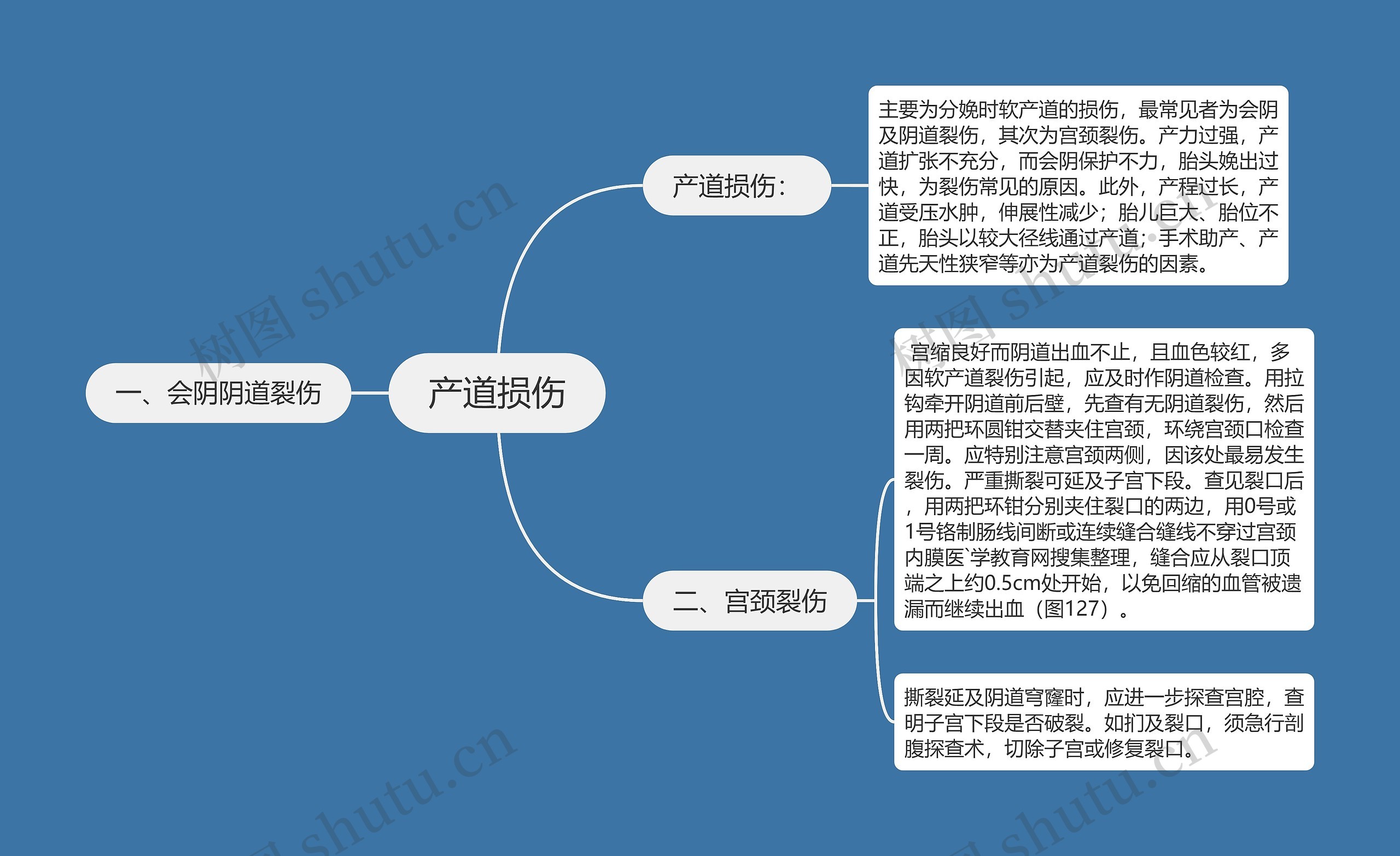 产道损伤思维导图