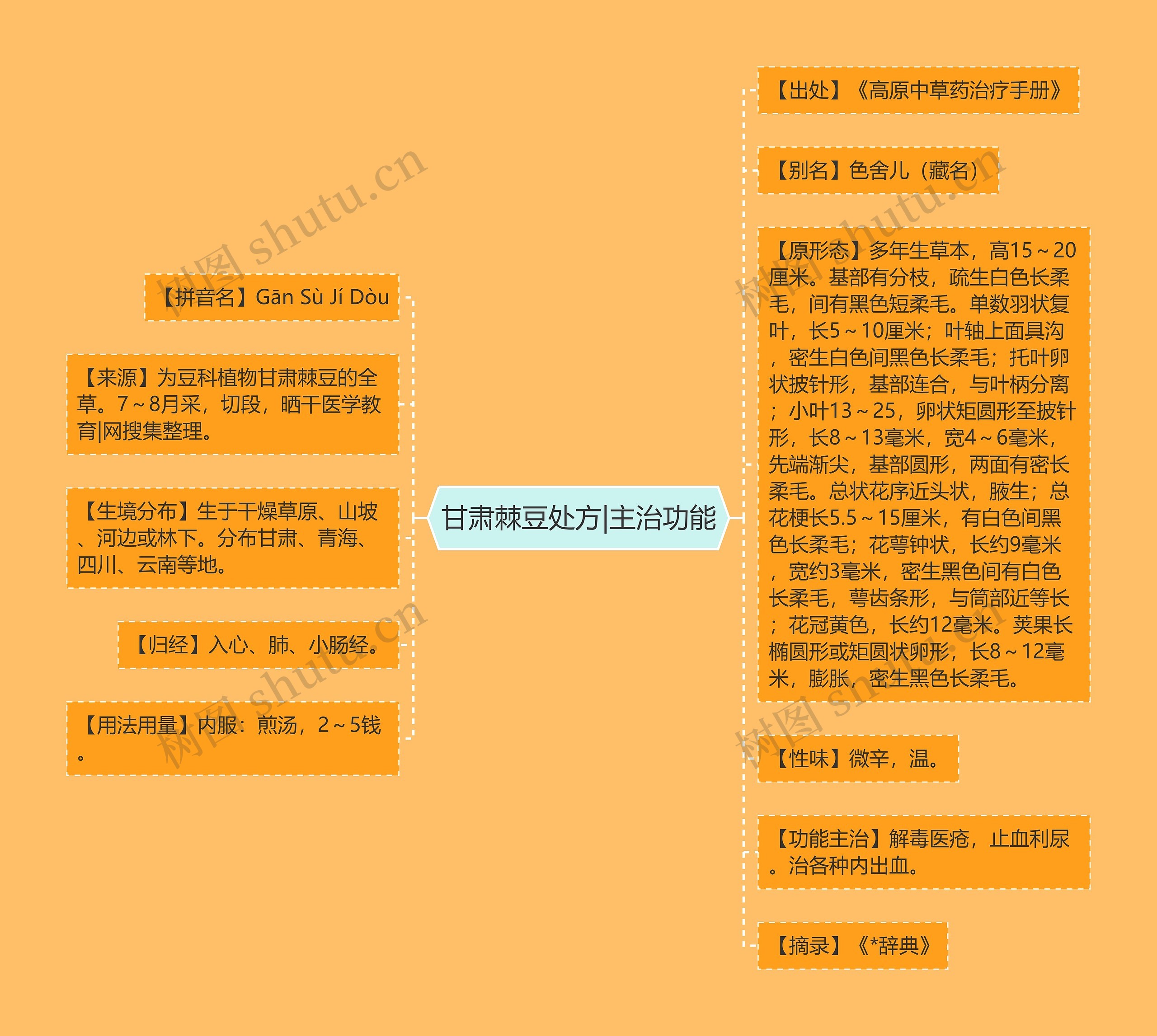 甘肃棘豆处方|主治功能 甘肃棘豆处方|主治功能