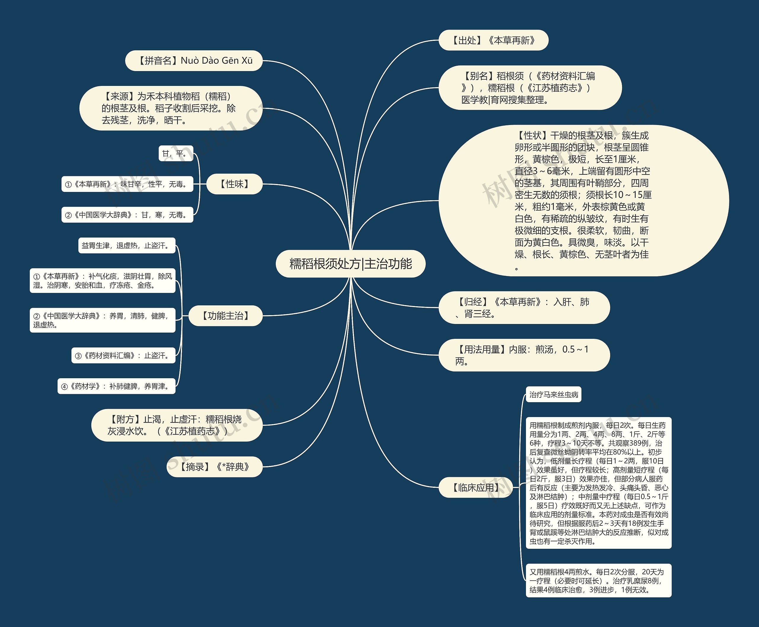 糯稻根须处方|主治功能思维导图