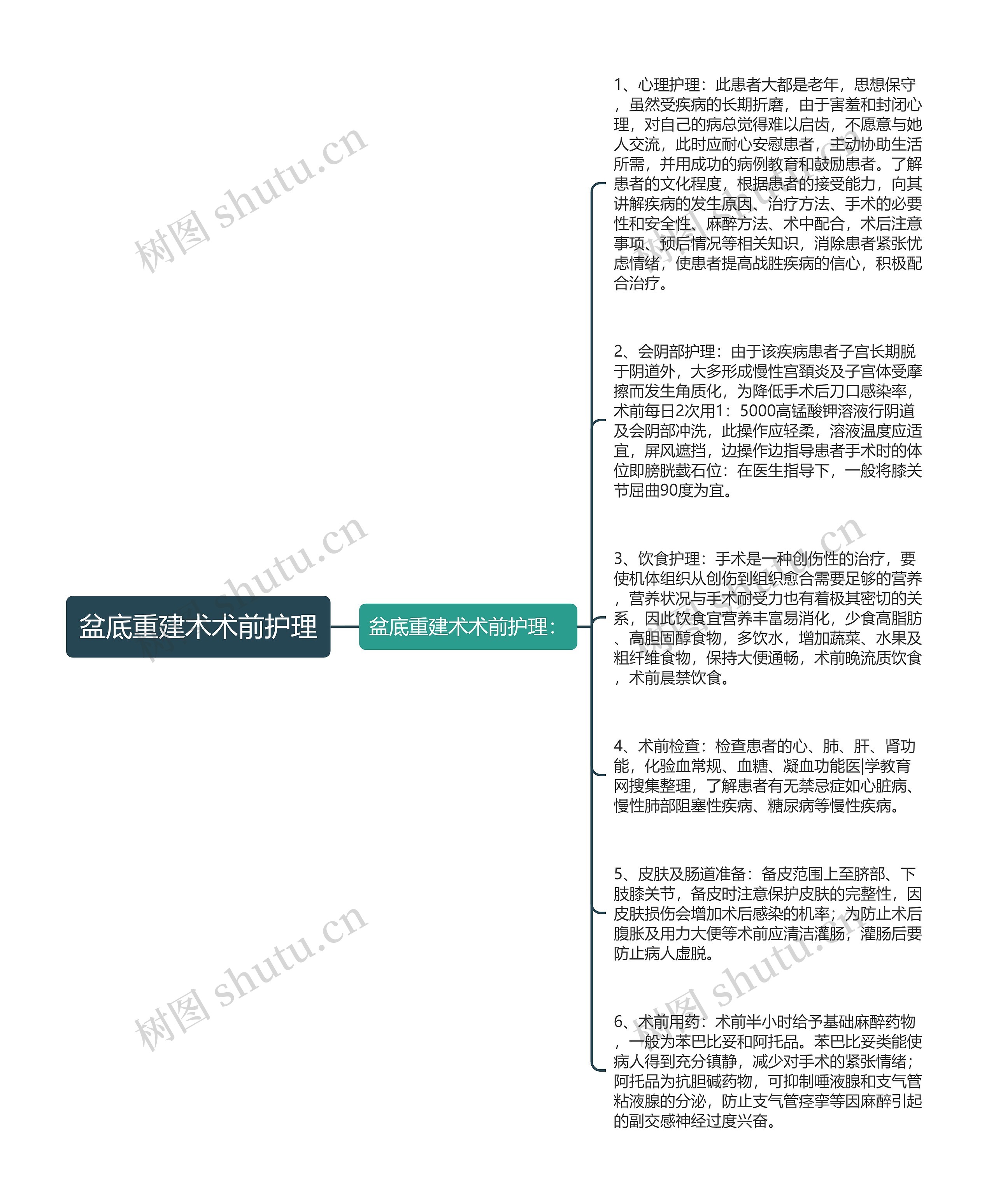 盆底重建术术前护理思维导图