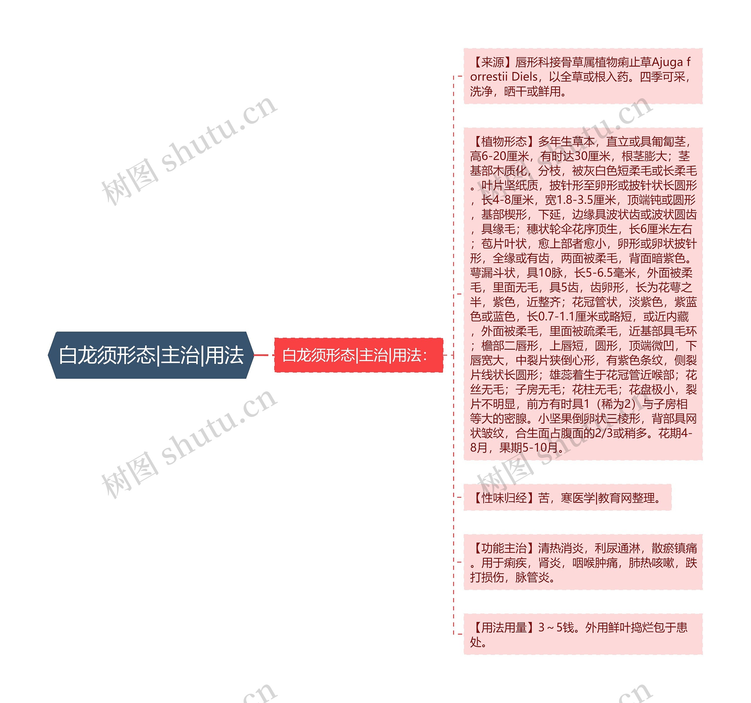 白龙须形态|主治|用法 白龙须形态|主治|用法