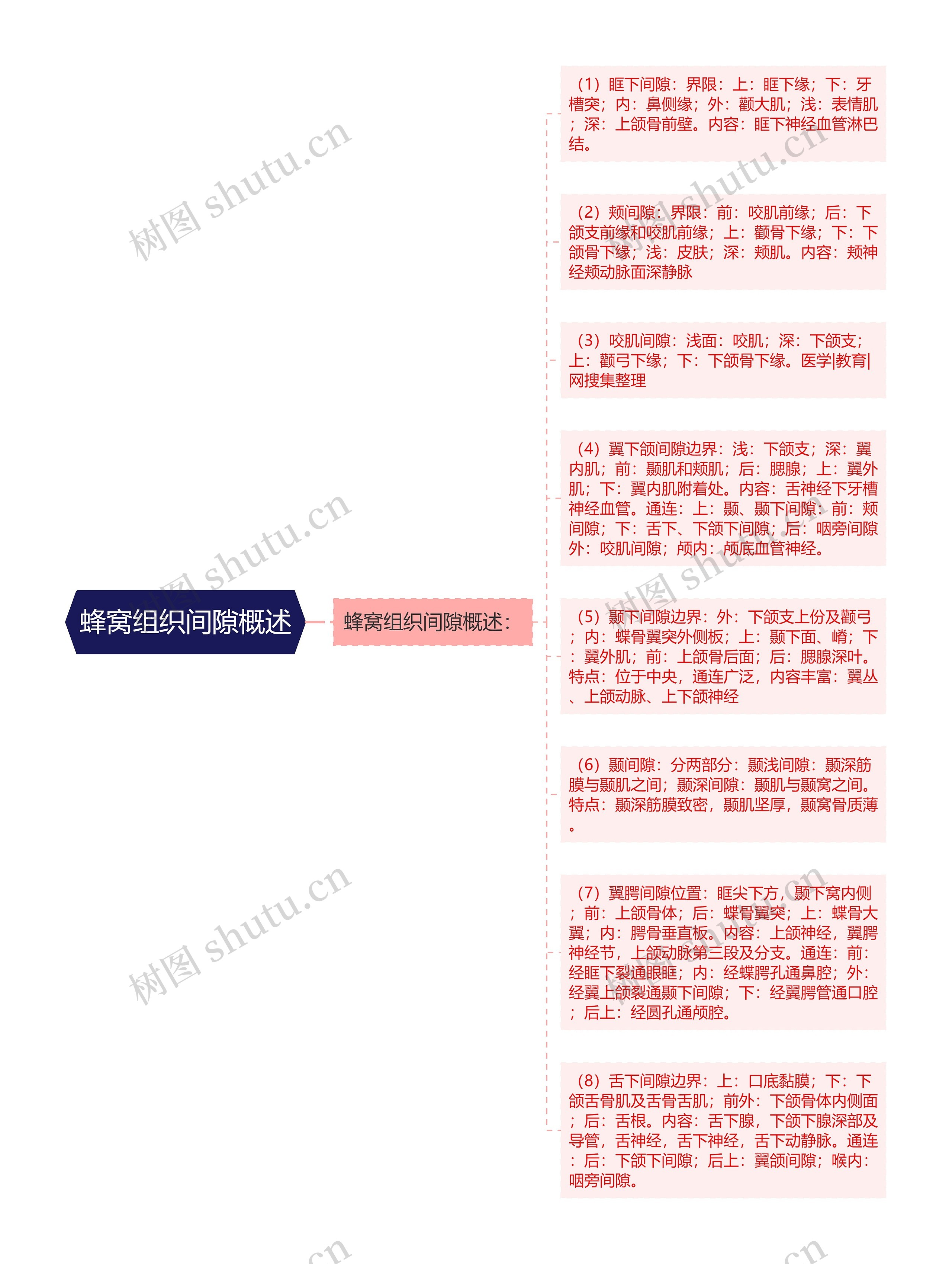 蜂窝组织间隙概述思维导图