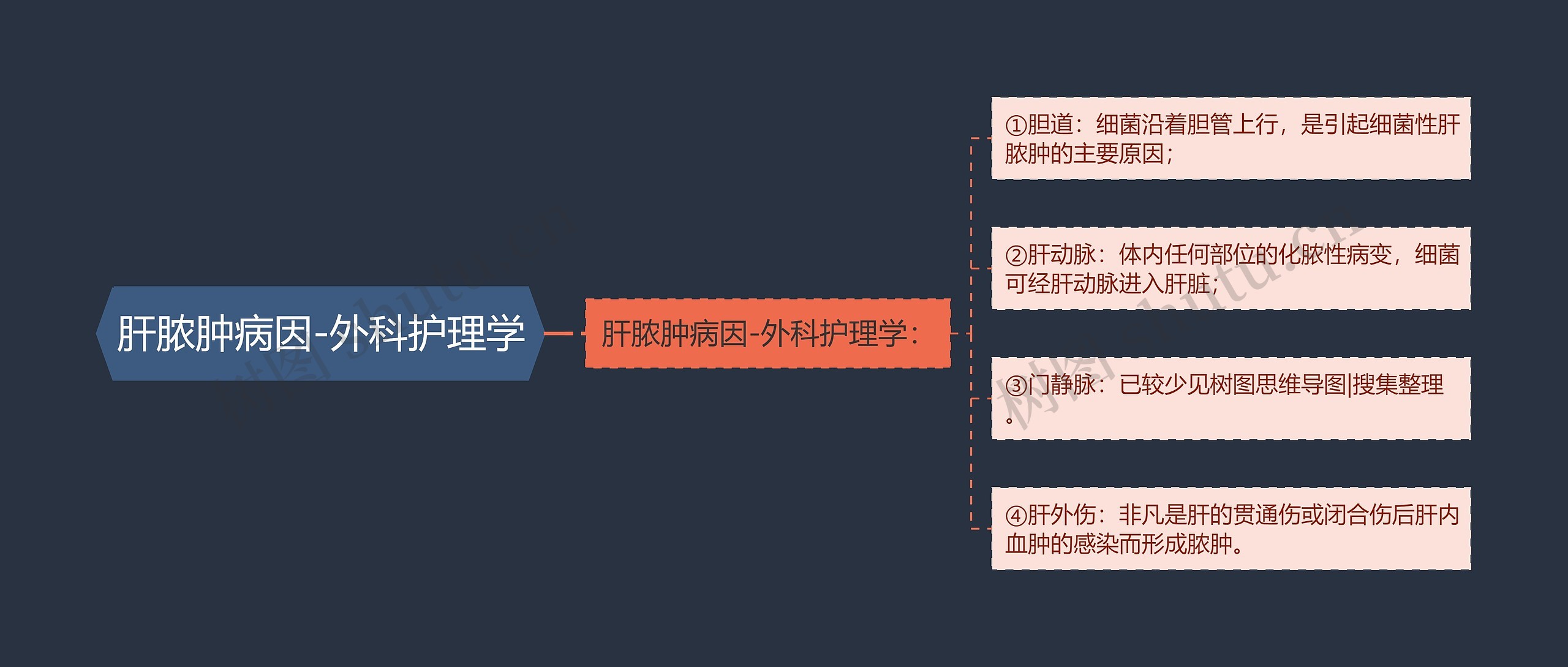 肝脓肿病因-外科护理学思维导图