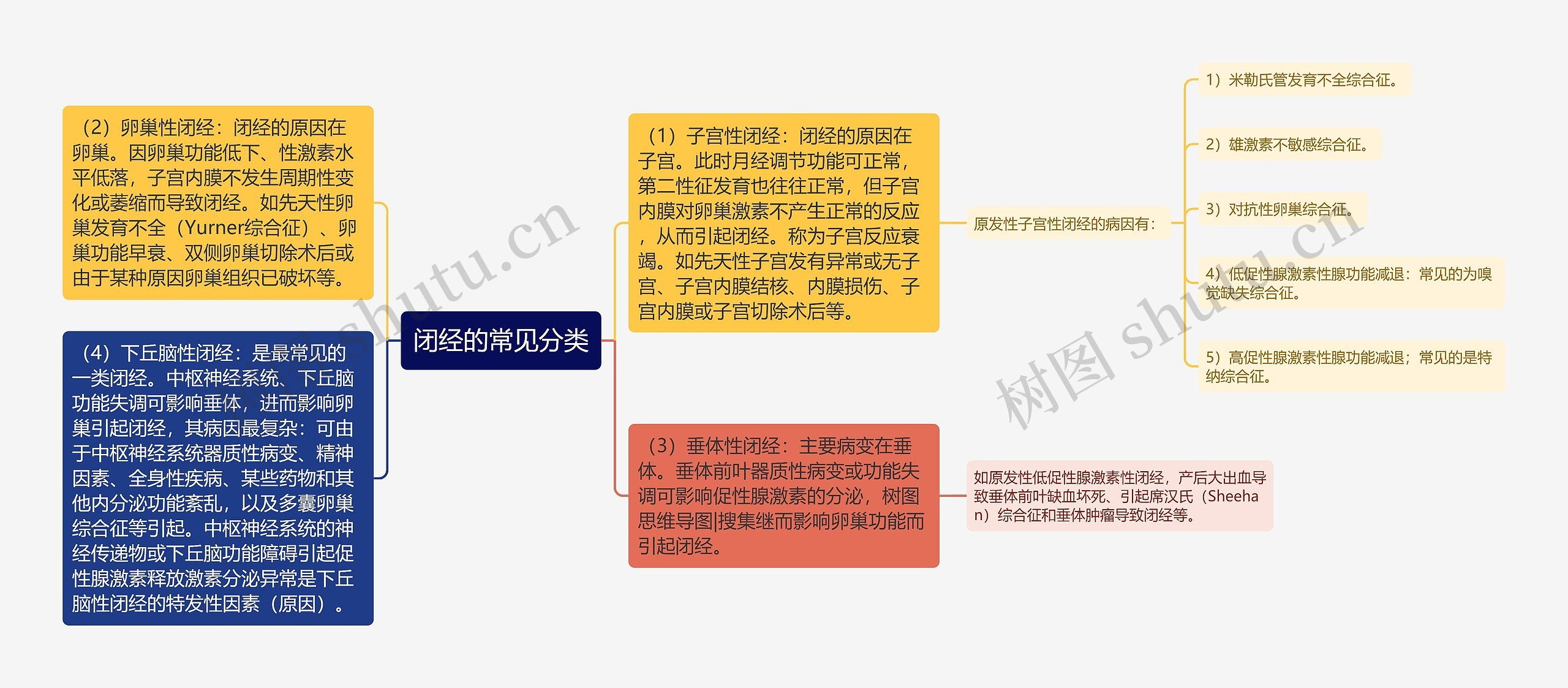 闭经的常见分类思维导图