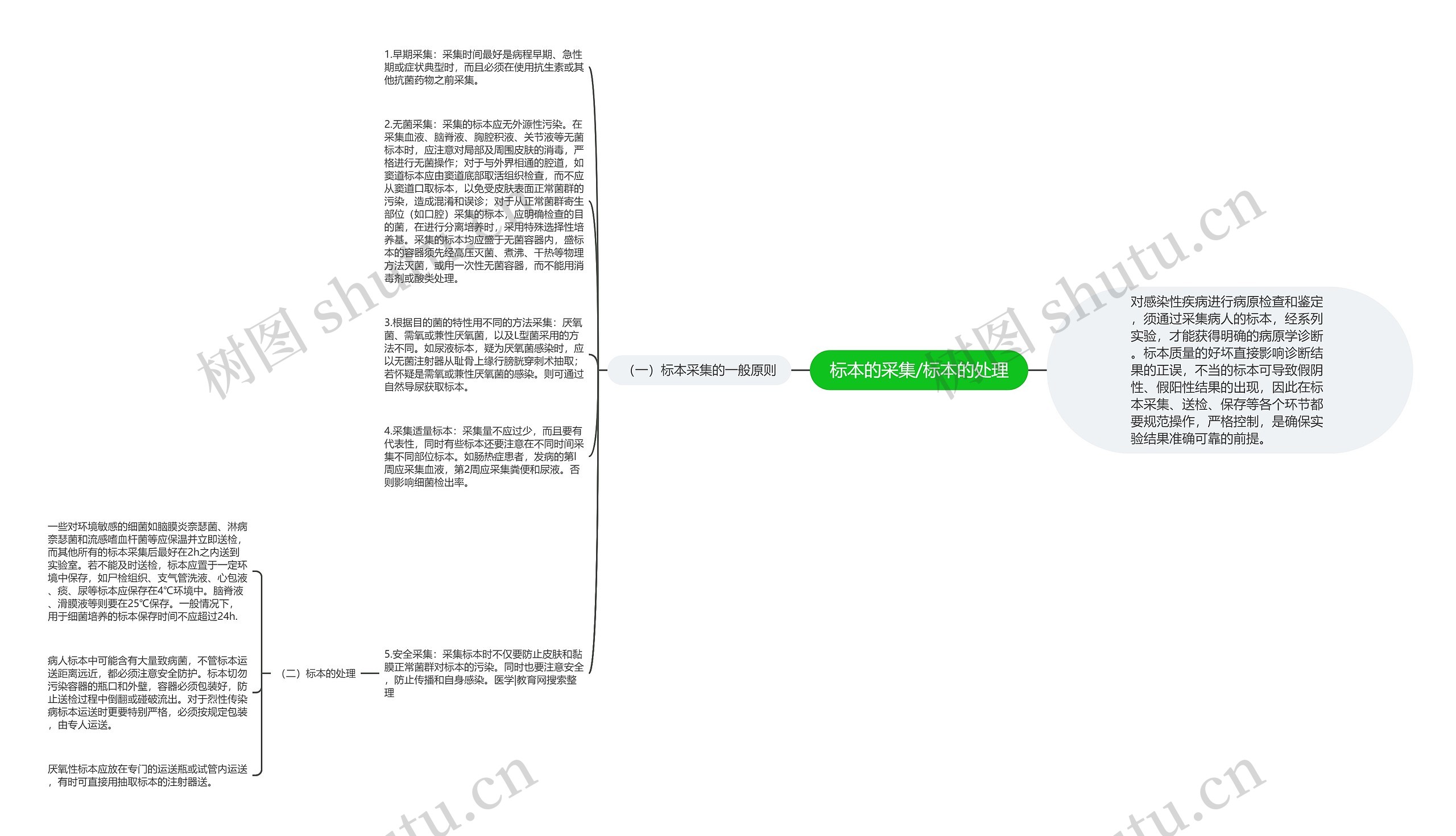 标本的采集/标本的处理思维导图