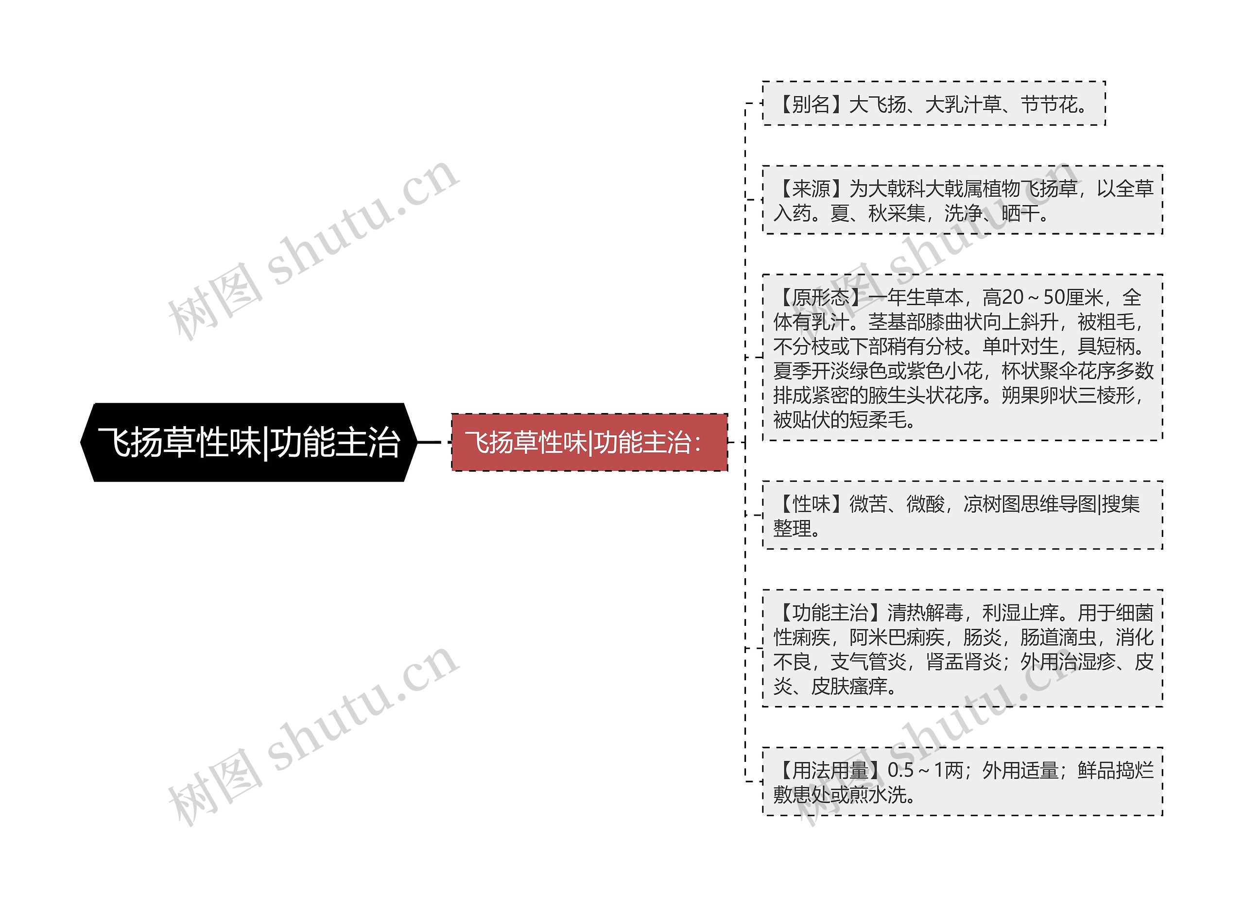 飞扬草性味|功能主治