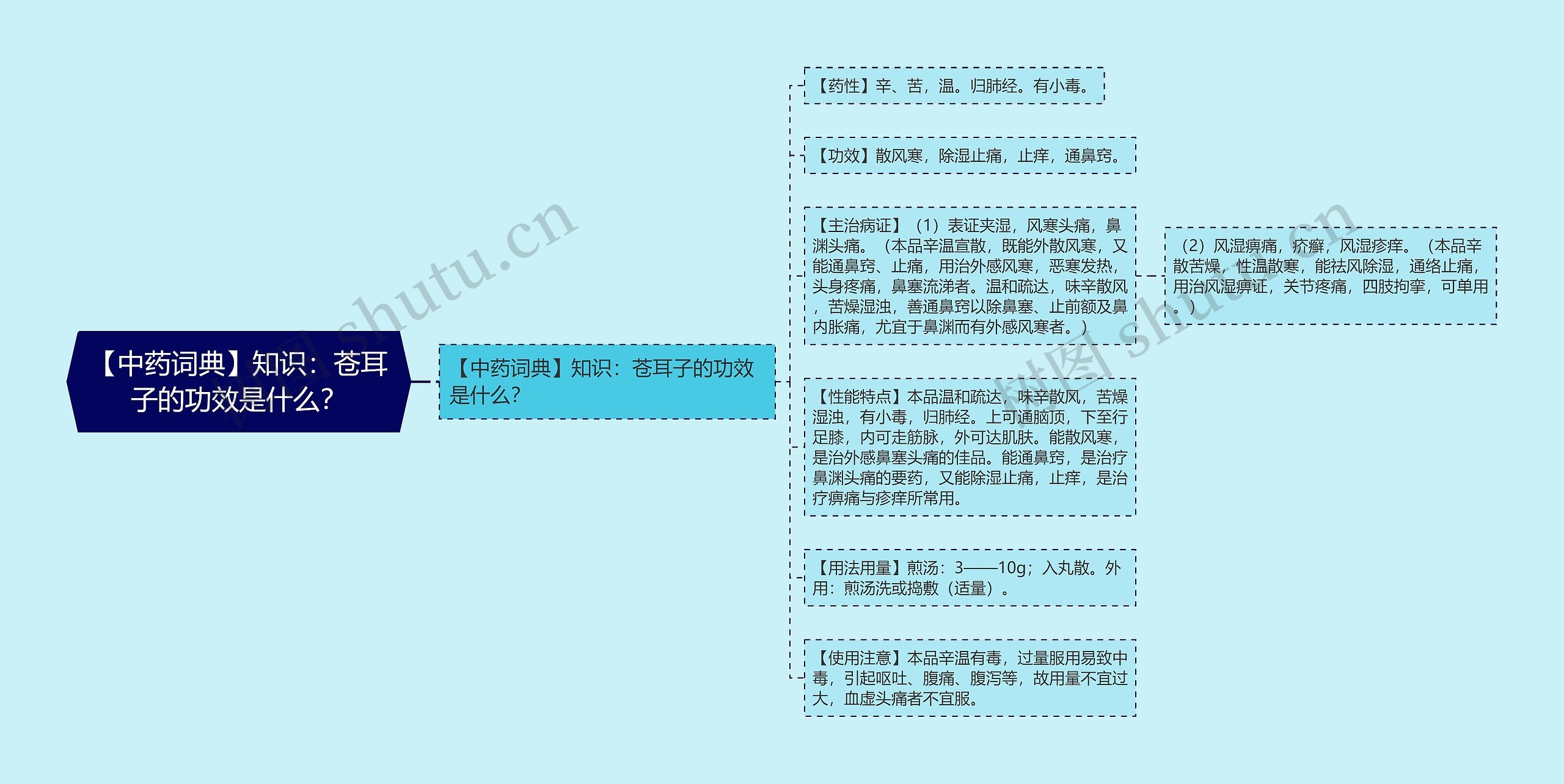 【中药词典】知识：苍耳子的功效是什么？思维导图