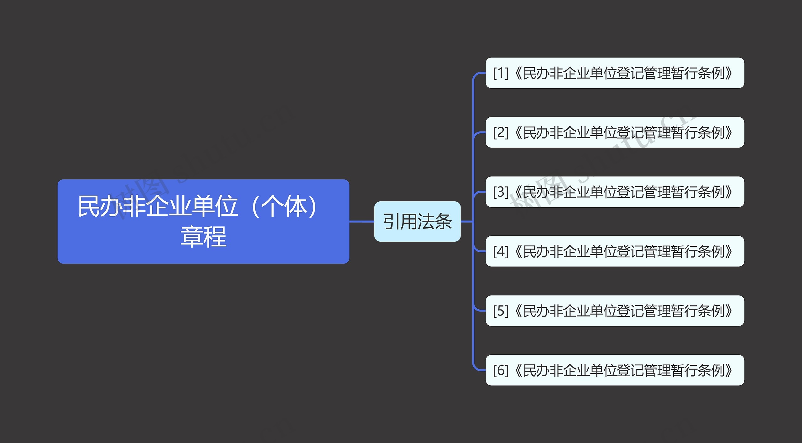 民办非企业单位（个体）章程思维导图