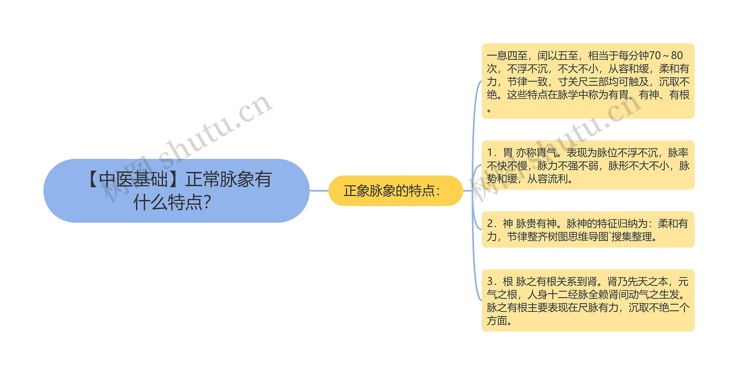 【中医基础】正常脉象有什么特点？